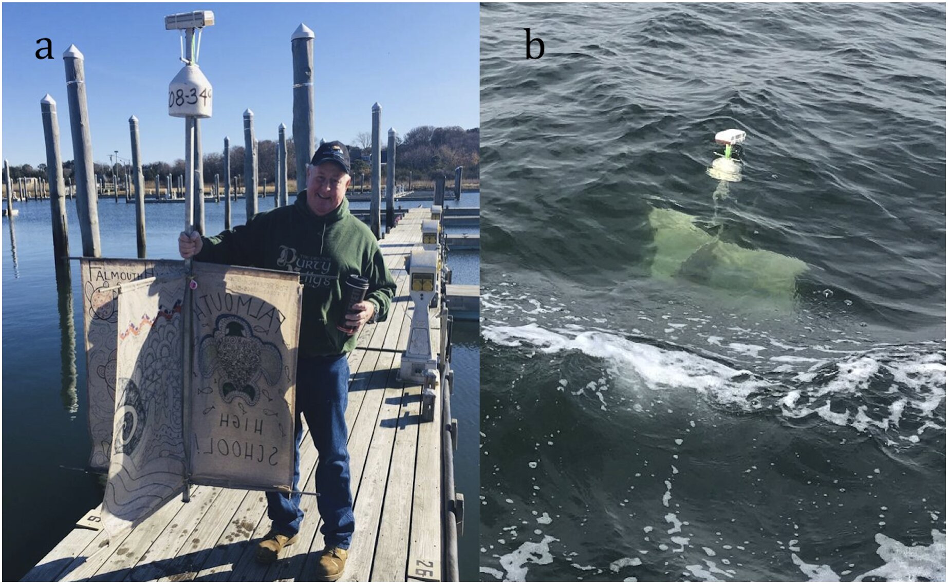 Team develops bottom drifters to better understand the stranding locations of cold-stunned sea turtles in Cape Cod Bay