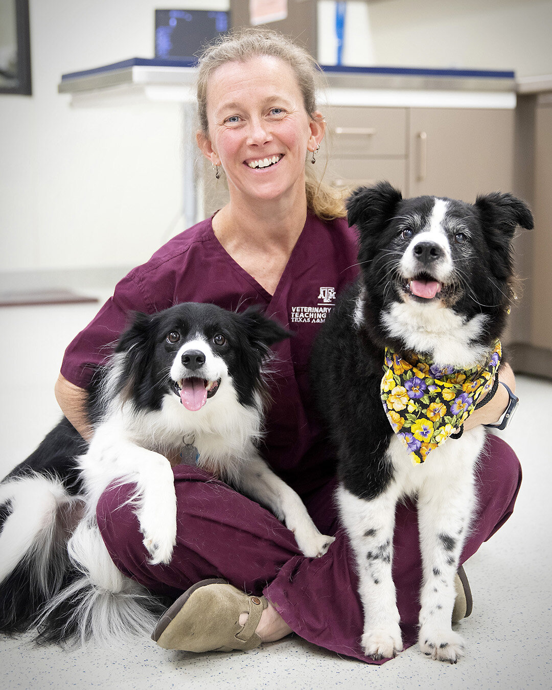 photo of Veterinarians developing frailty instrument to personalize canine geriatric care image