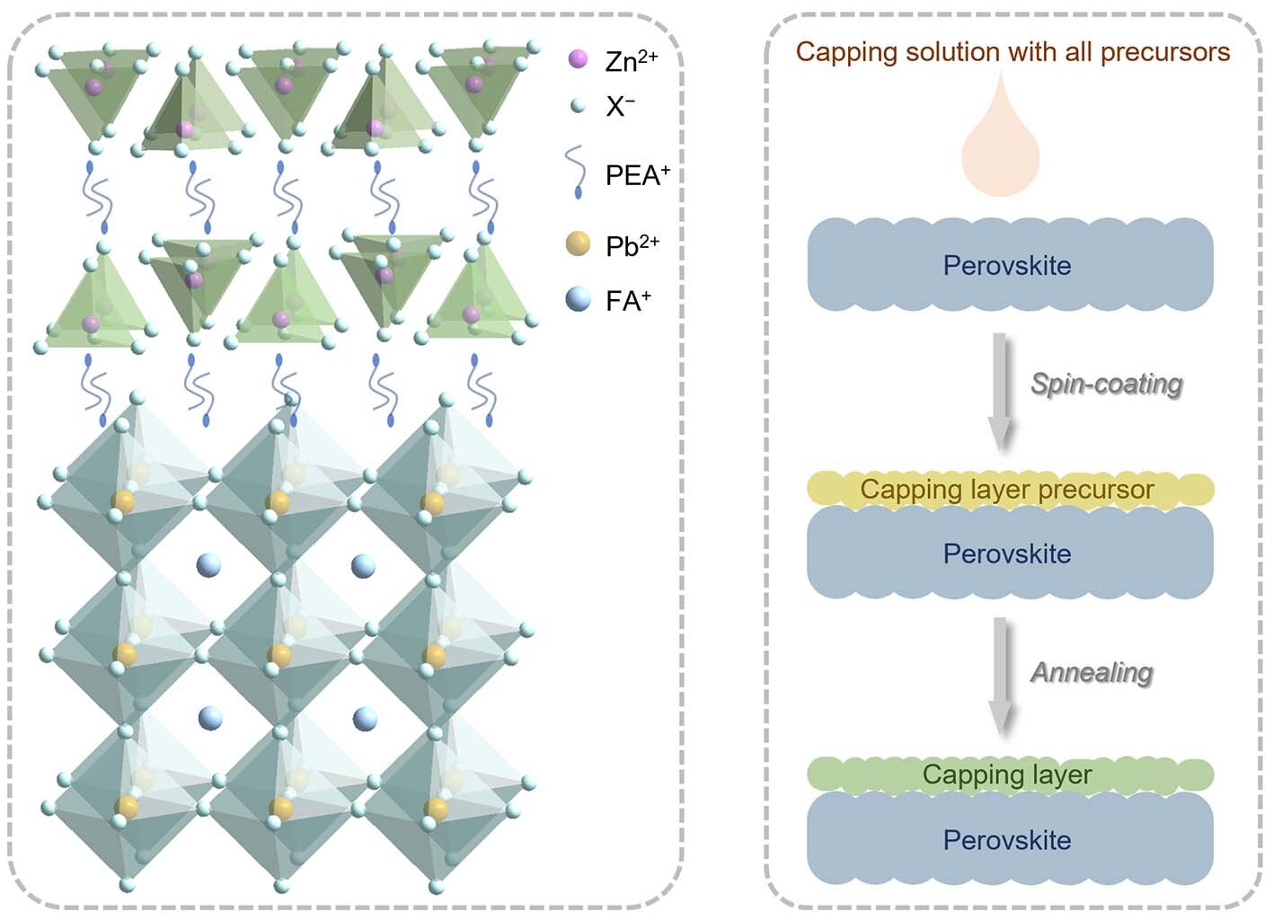 Stabilizing perovskite solar cells without lead