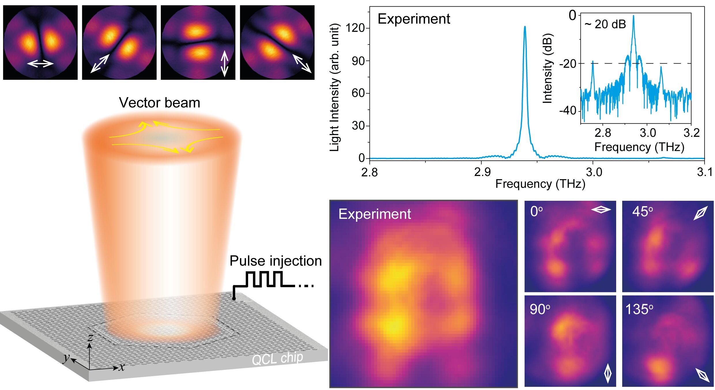 Compact QCLs with single-mode and beam-engineered capabilities made possible by Topological Bulk BICs