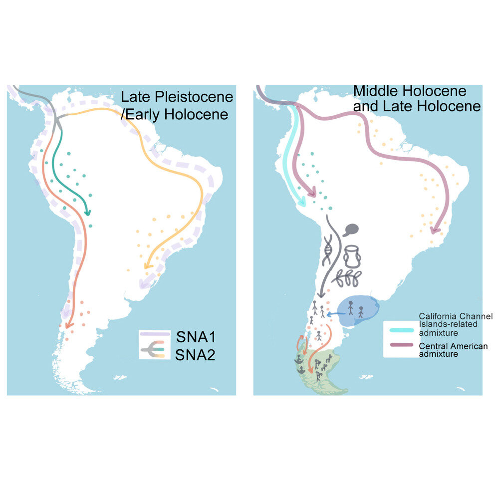 Rastreando las raíces indígenas de Chile a través de la genética y la lingüística