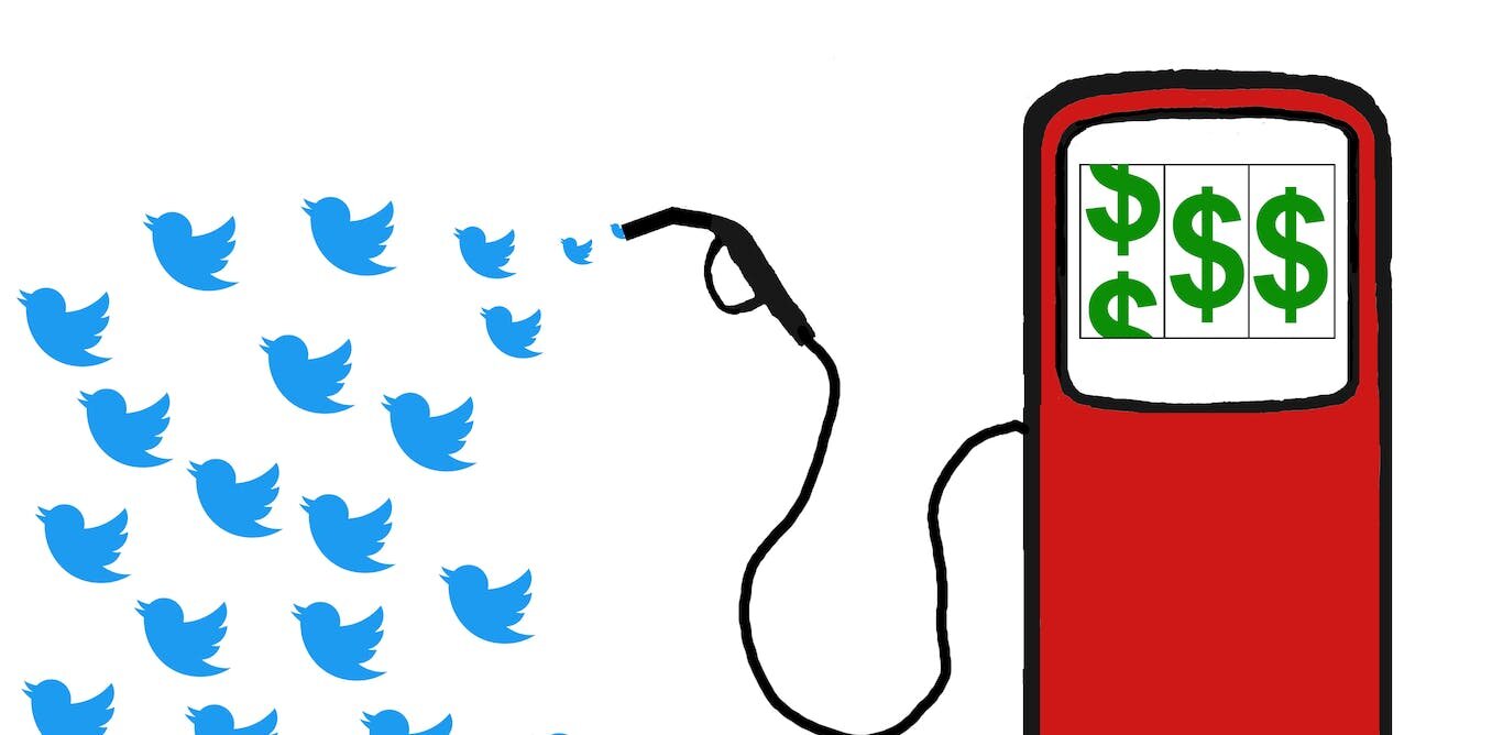 Twitter’s new data fees leave scientists scrambling for funding—or cutting research