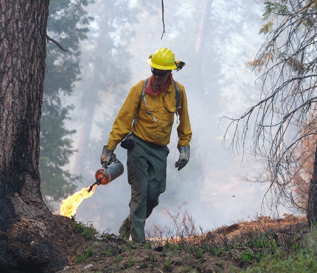 #Unprecedented levels of high-severity fire burn in Sierra Nevada