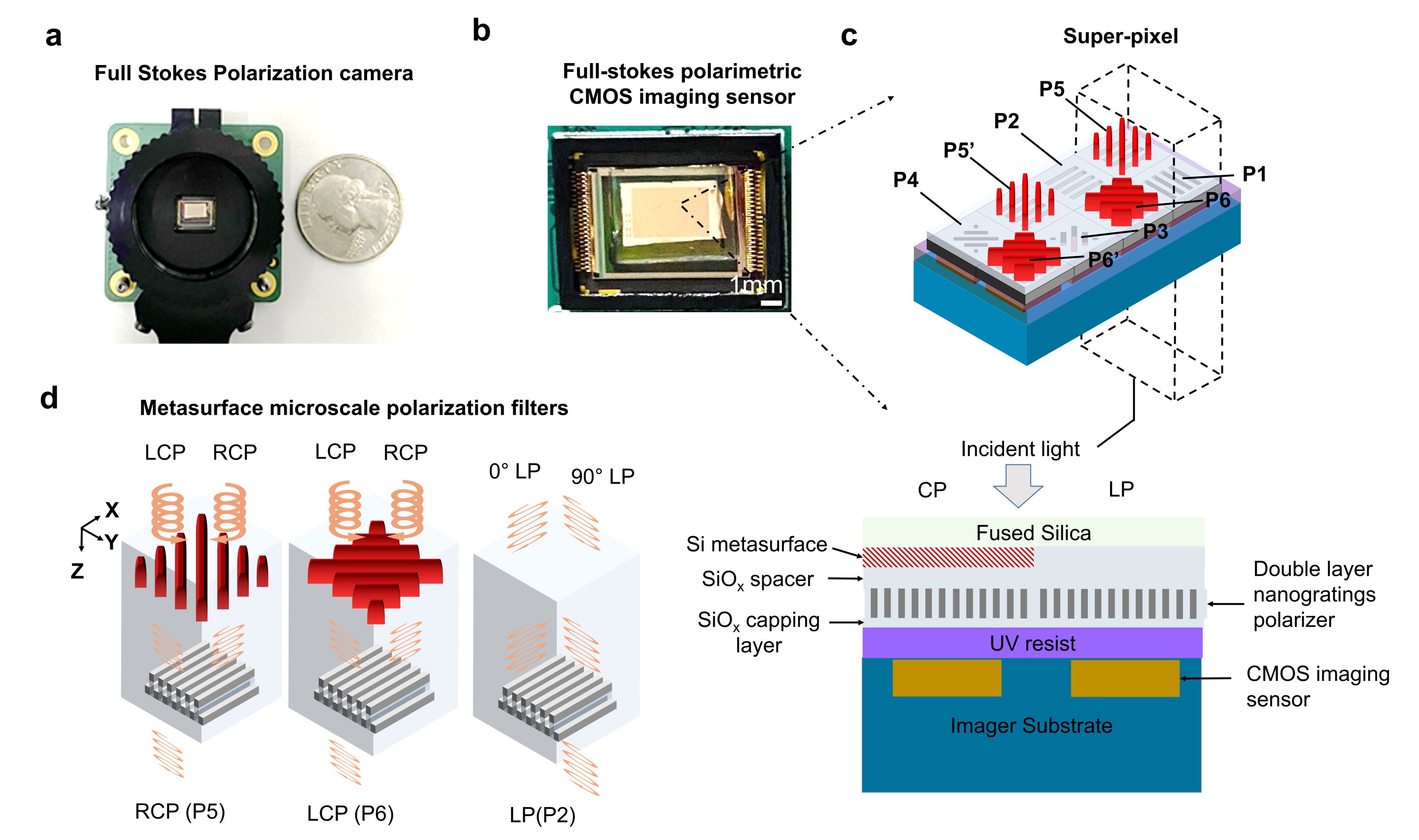 A bioinspired CMOS-integrated polarization imaging sensor