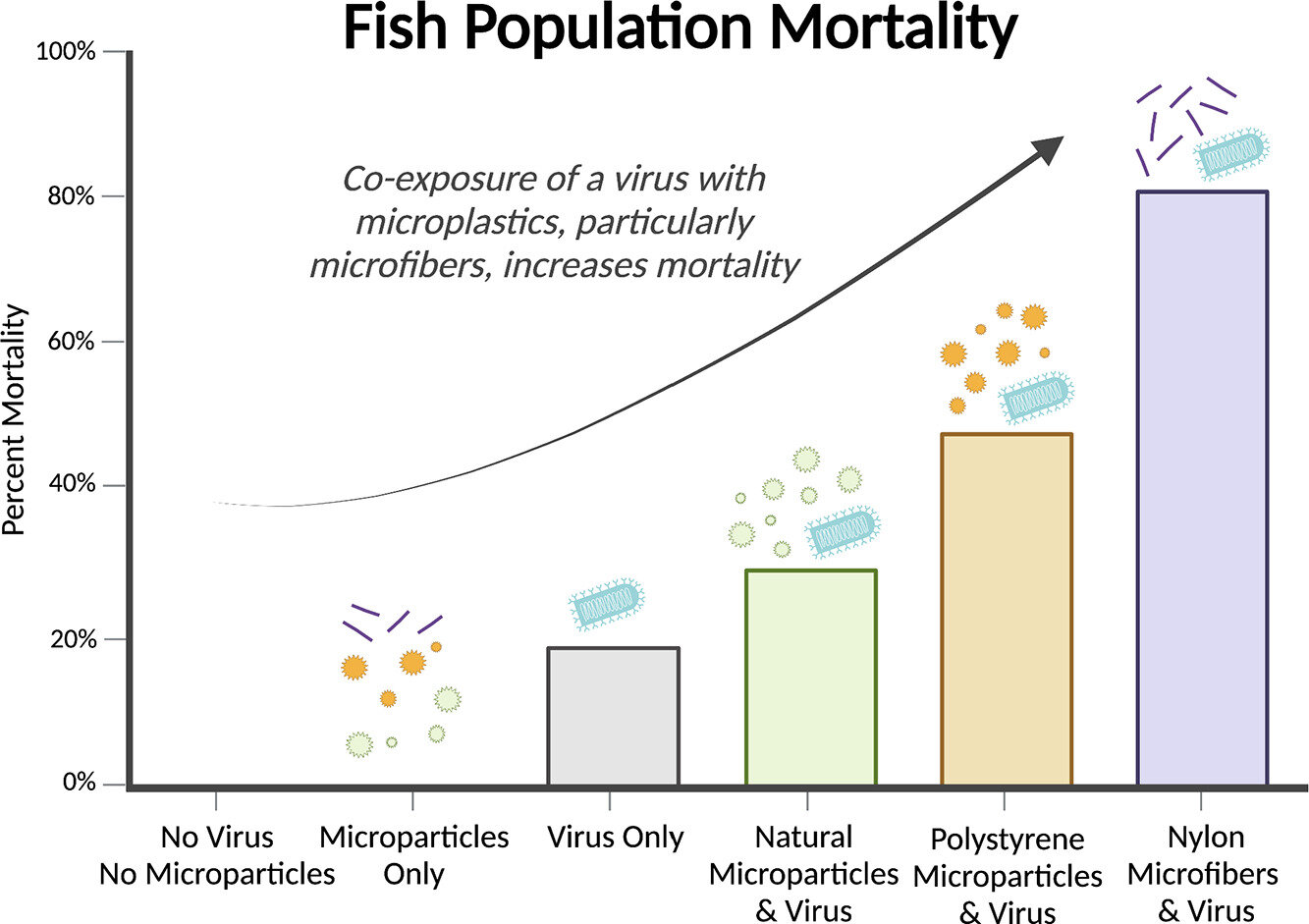 photo of Virus plus microplastics equal double whammy for fish health image