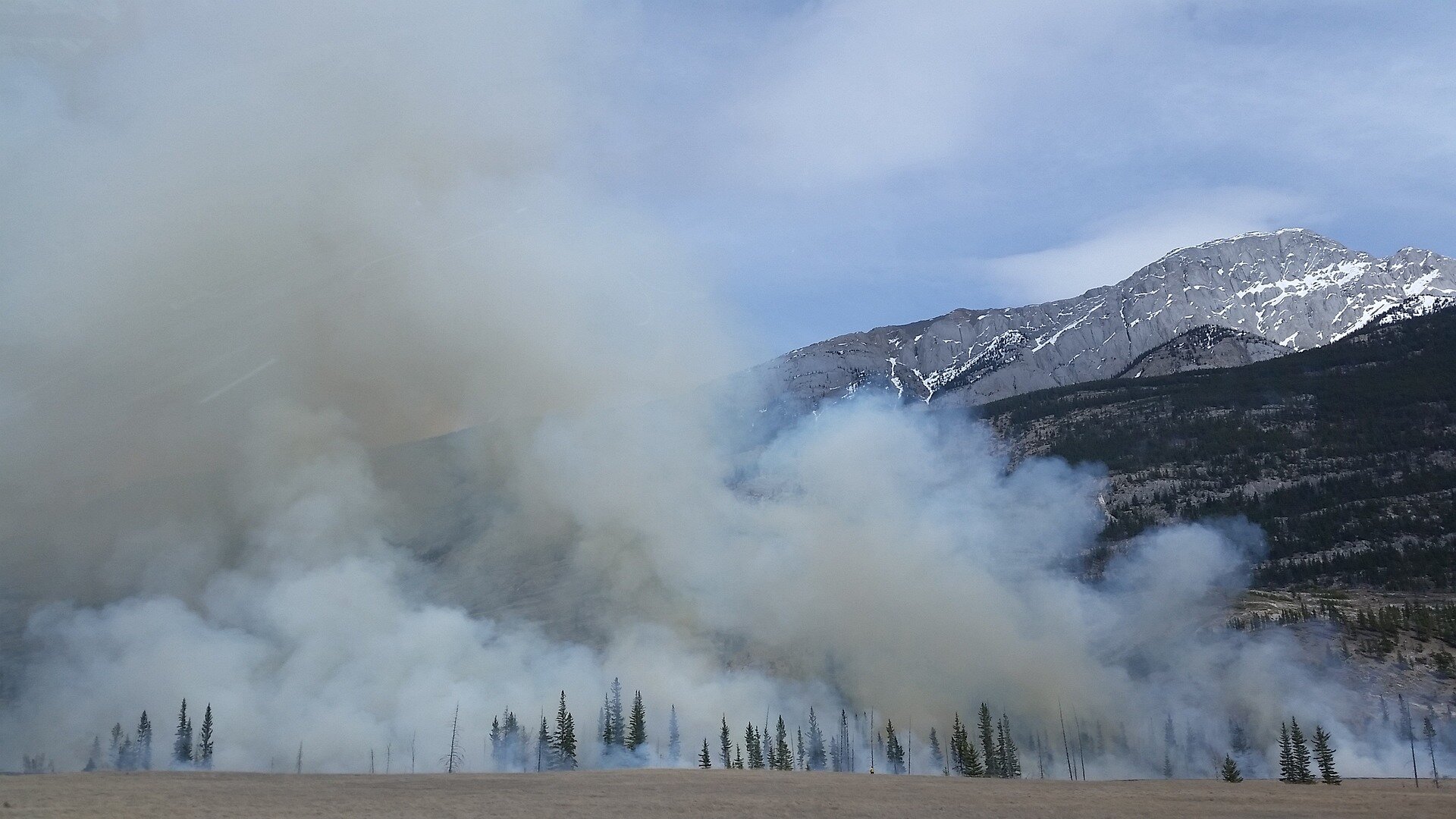 How Wildfire Smoke Can Alter Brain Health and Trigger Inflammation -  Neuroscience News