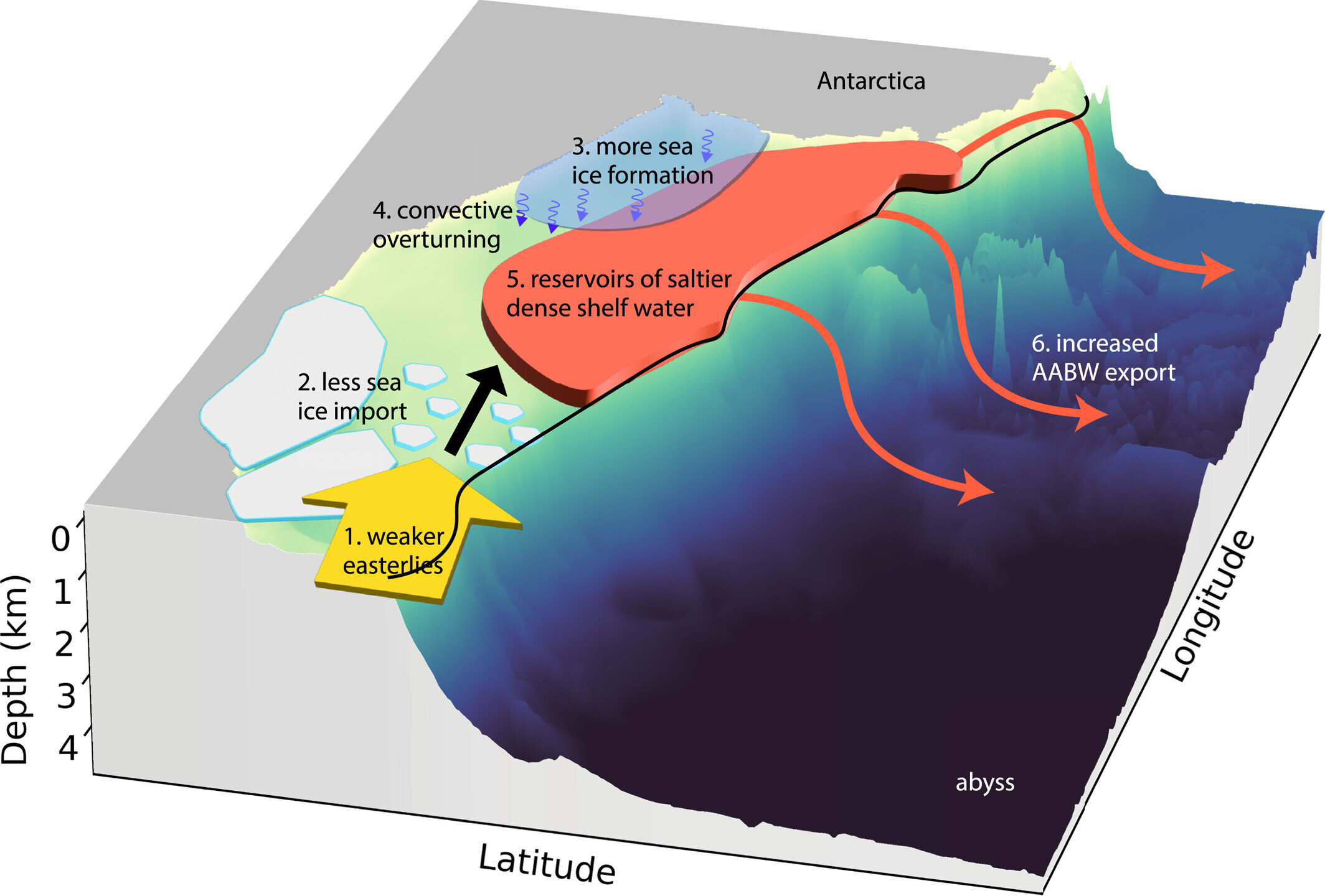 El viento es uno de los principales impulsores de la formación de aguas profundas de la Antártida y de la circulación oceánica del planeta, muestra un estudio