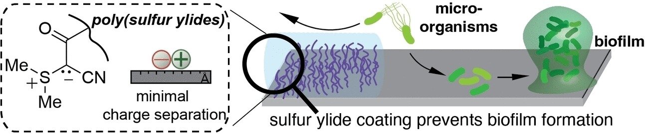 Zwitterionic polymeric sulfur ylides: A new generation of antifouling and bactericidal materials