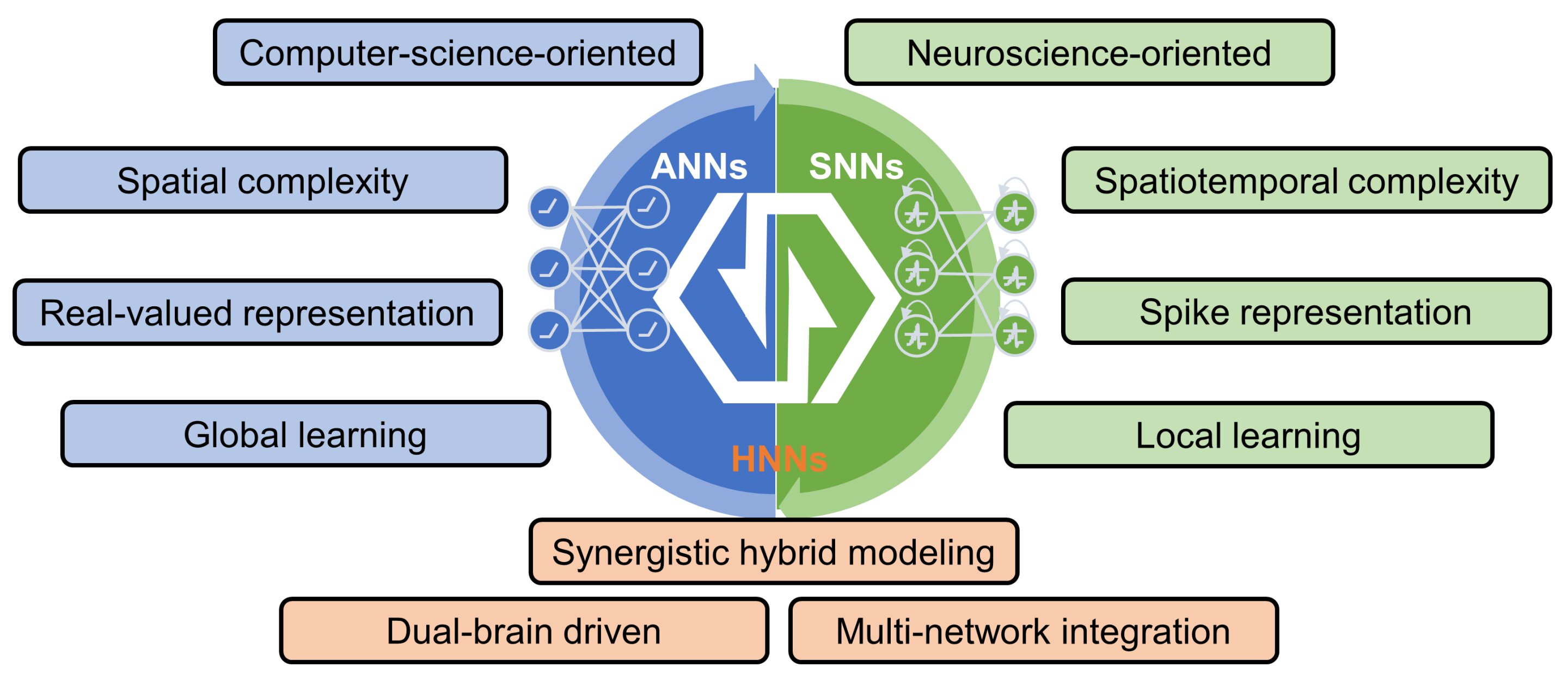Advancing brain-inspired computing with hybrid neural networks