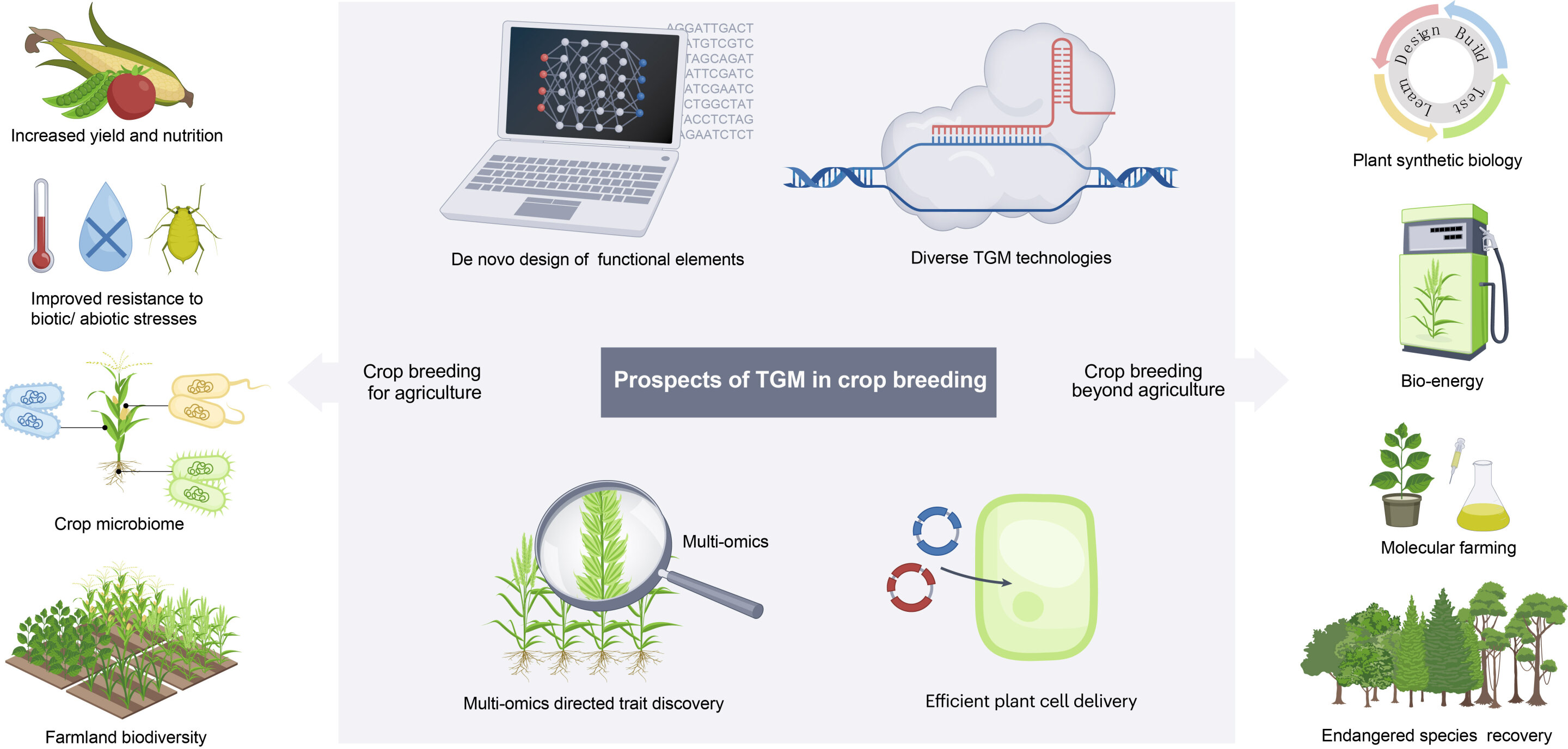 photo of Advancing crop breeding through targeted genome modification image