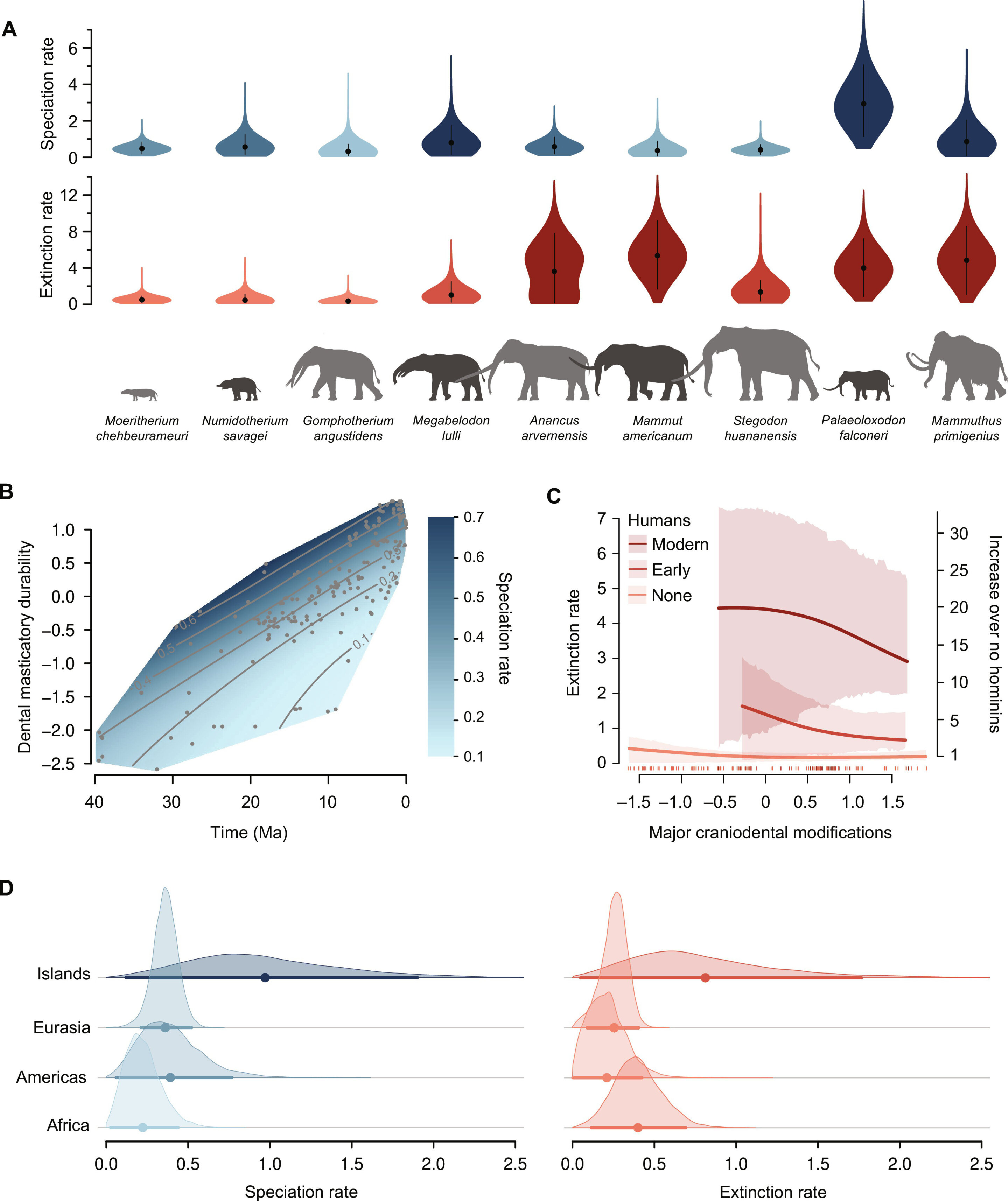 photo of AI-assisted analysis suggests elephant-like species extinction rates grew when humans arrived image