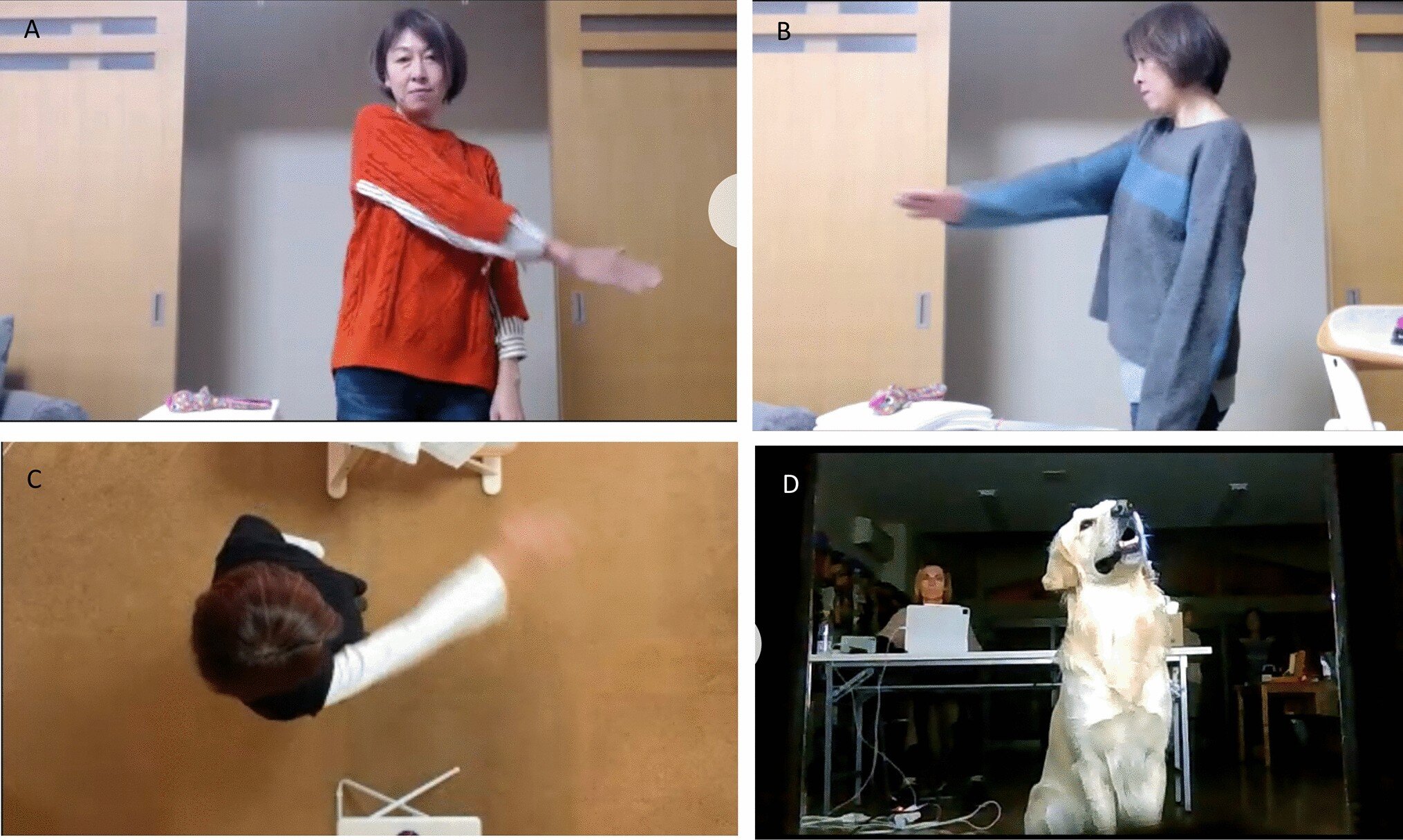 photo of An online meeting with your dog? Study tests dogs' ability to imitate actions observed on video projections image