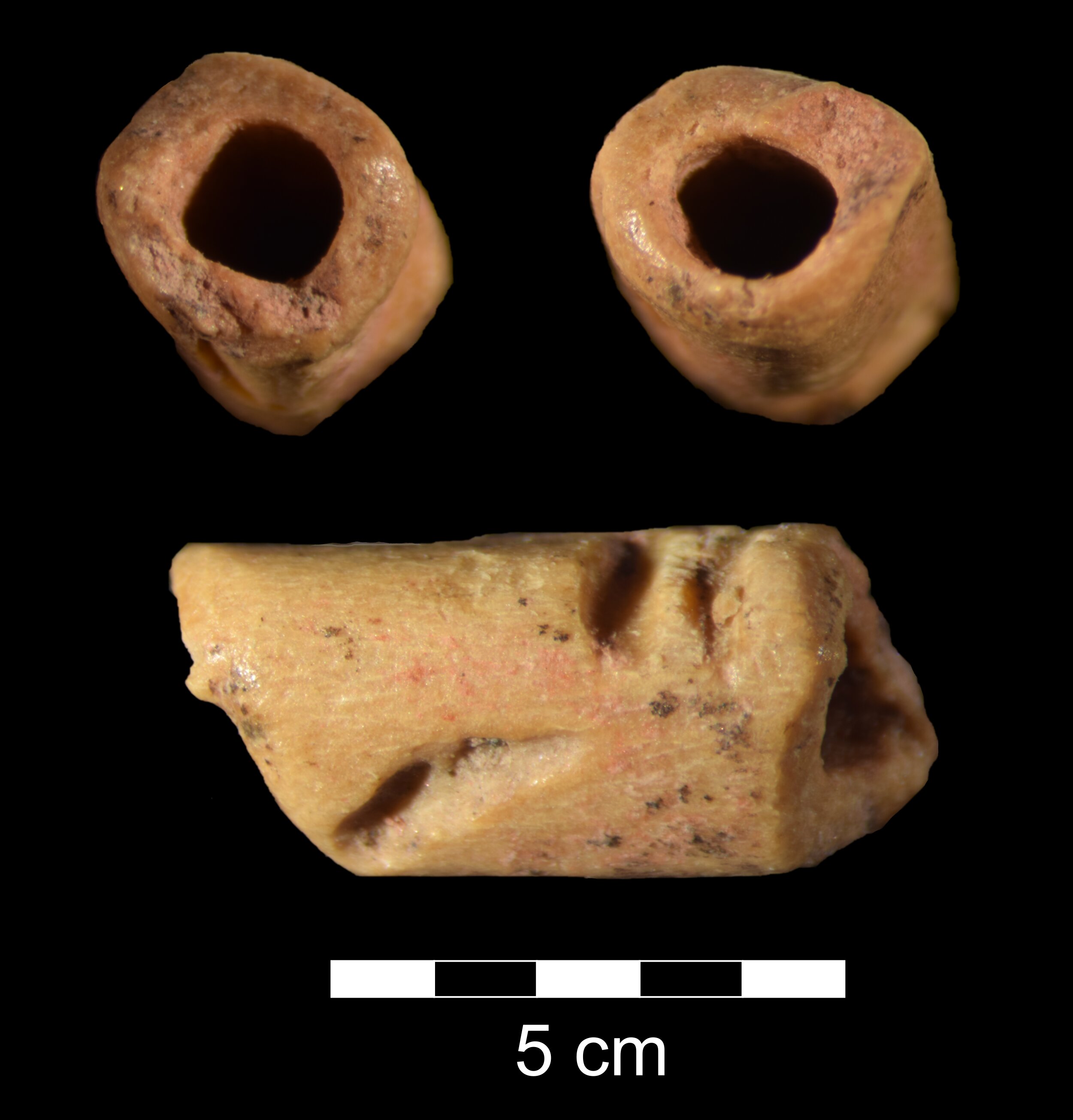 Archaeologists uncover oldest recognized bead within the Americas