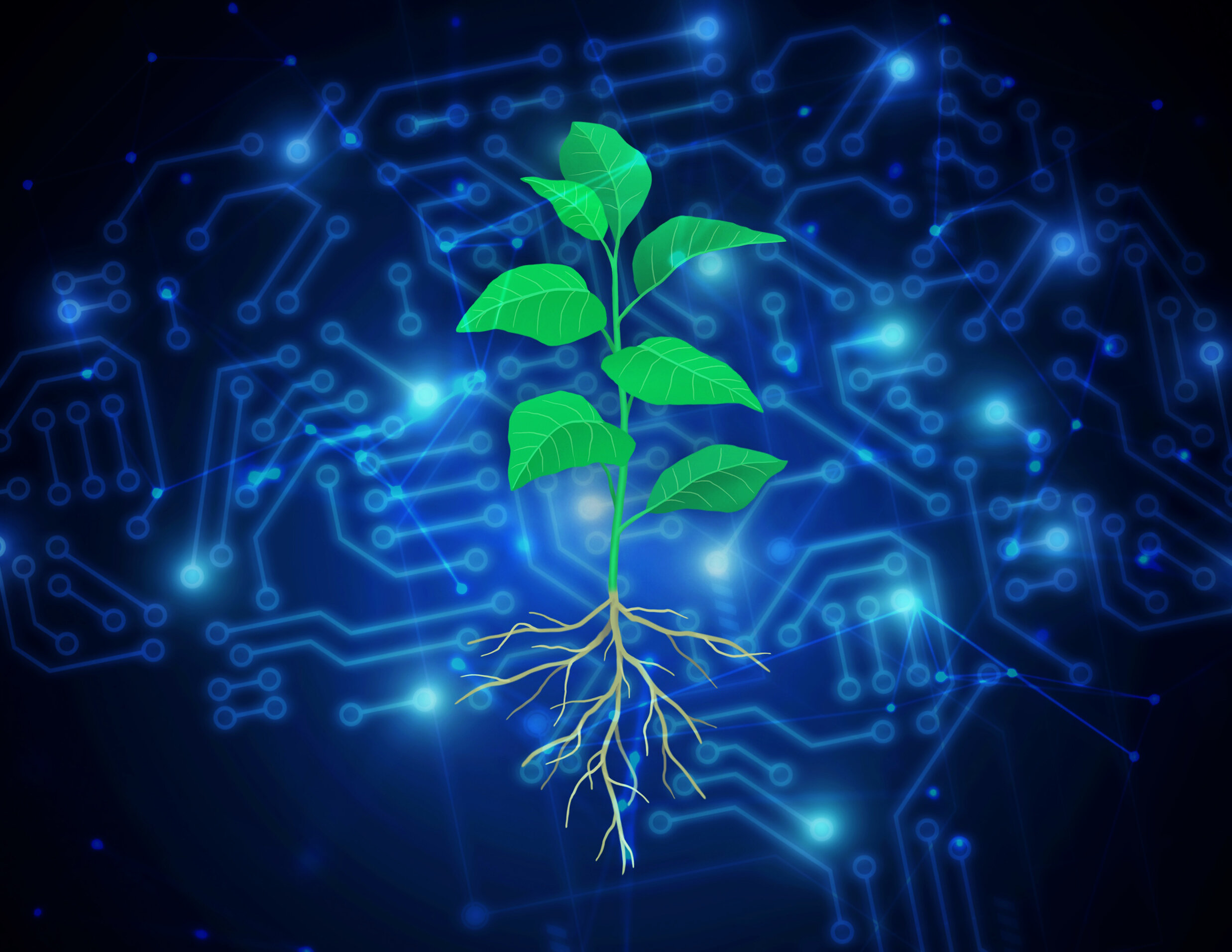 photo of Artificial intelligence helps scientists engineer plants to fight climate change image