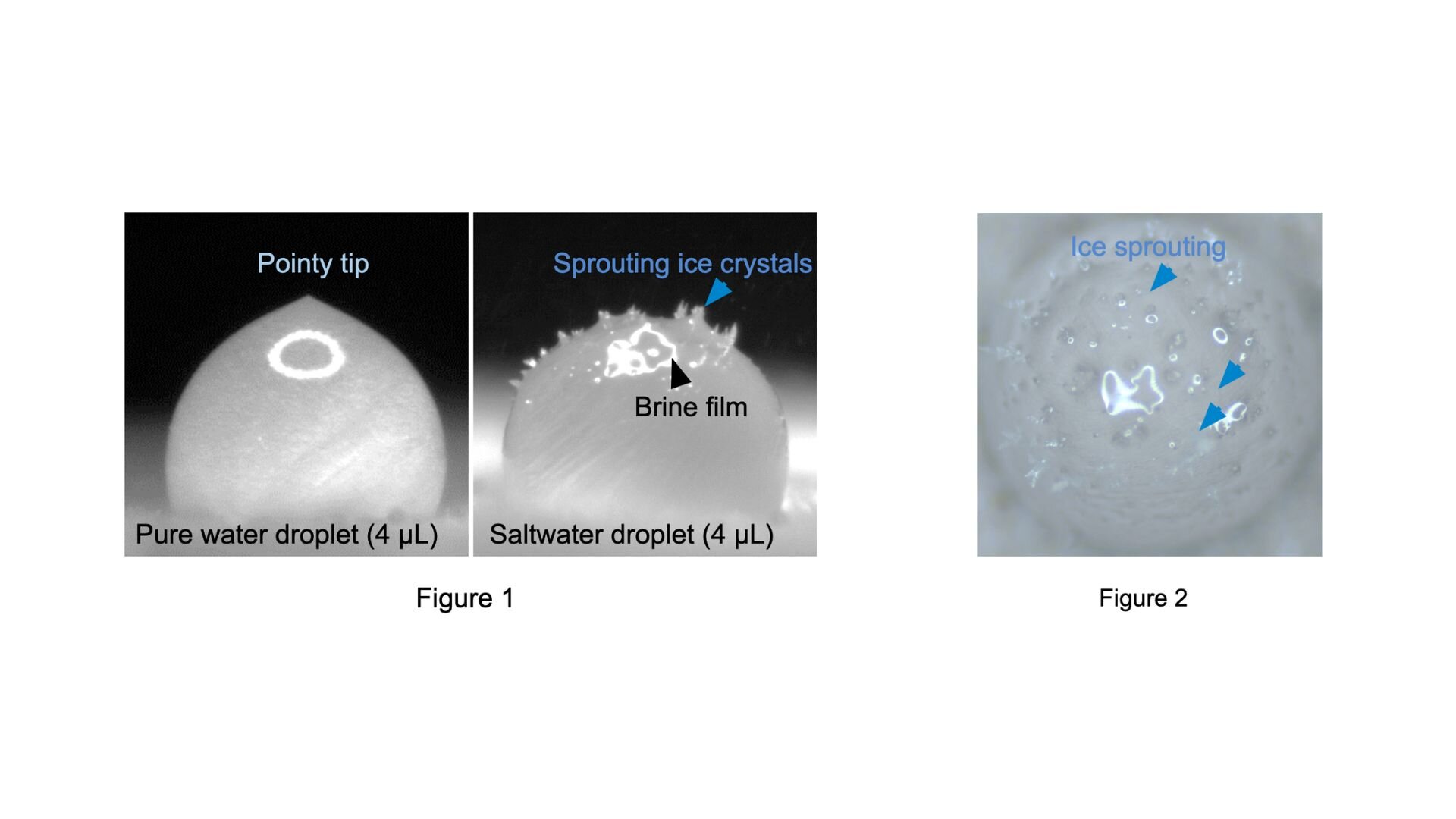 Conocimientos moleculares sobre la congelación de gotas de agua salada