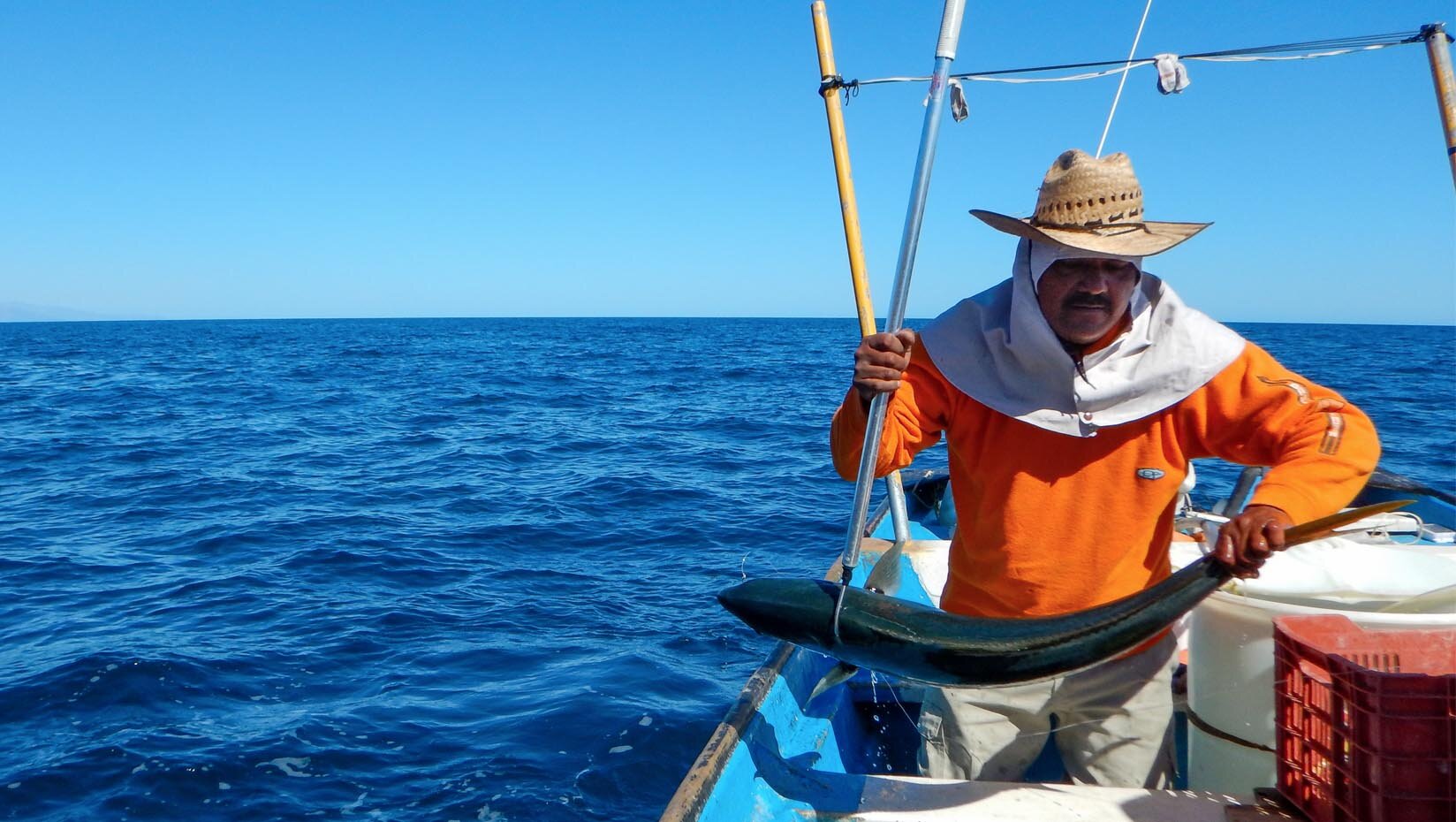 Business operations affect fishermen's resilience to climate