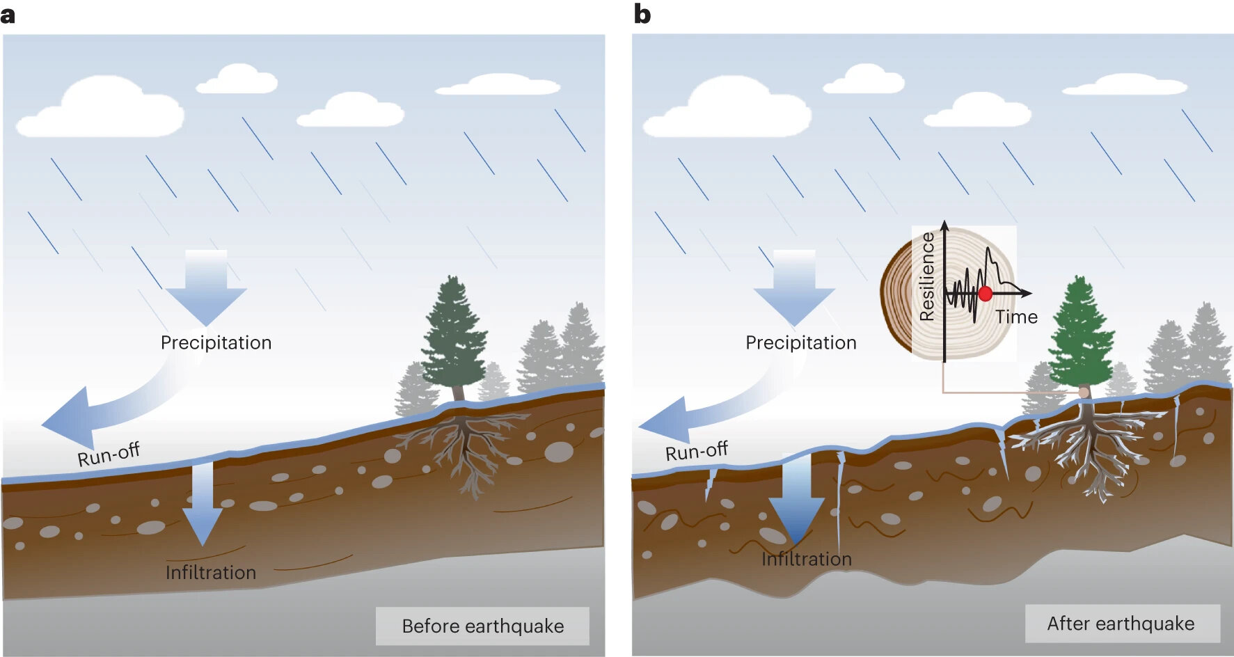 Earthquakes impact forest resilience for decades post-event, research suggests
