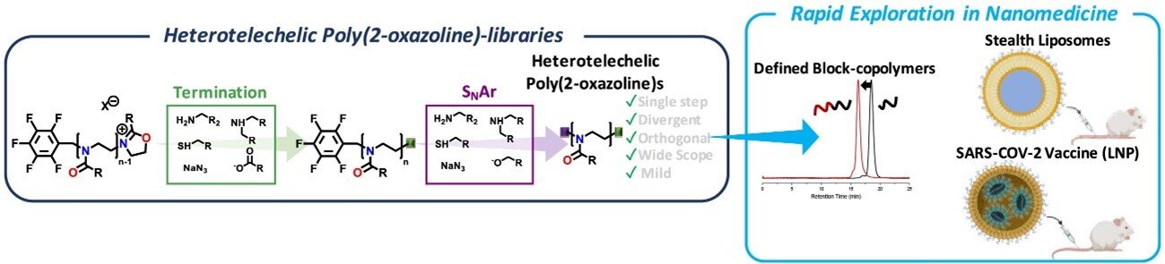 Enabling rapid screening of poly(2-oxazoline)-based nanomedicine through divergent synthesis
