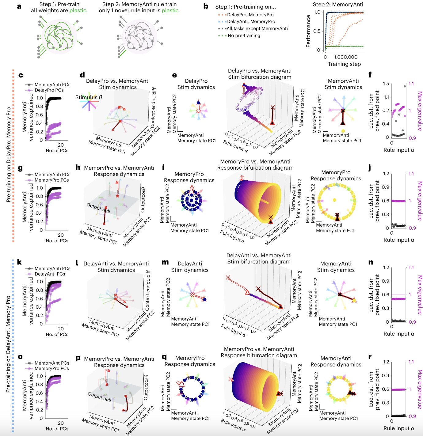 Flexible multi-task computation in recurrent neural networks relies on dynamical motifs, study shows