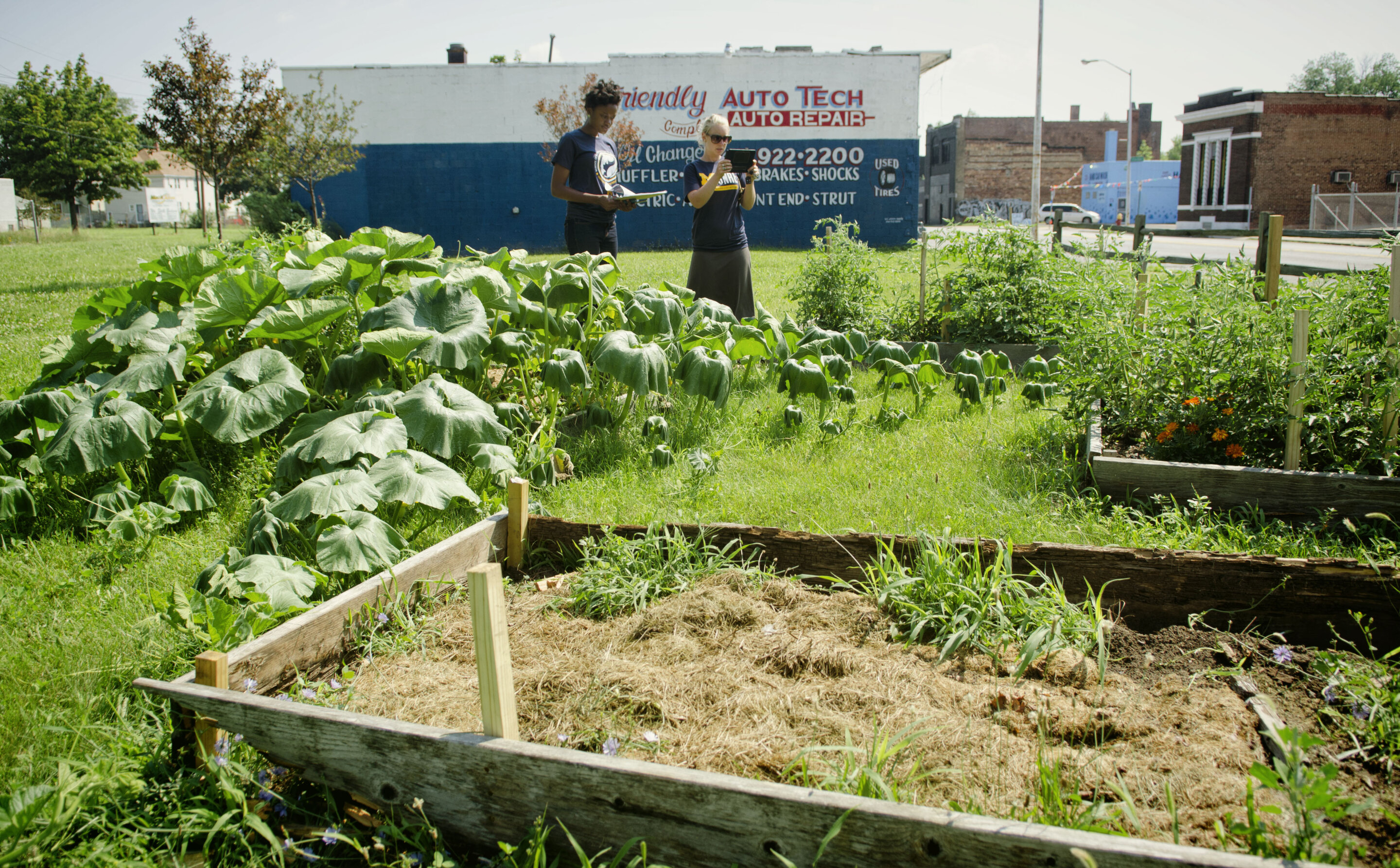 Food from Urban Agriculture Has Carbon Footprint 6 Times Larger Than Conventional Produce