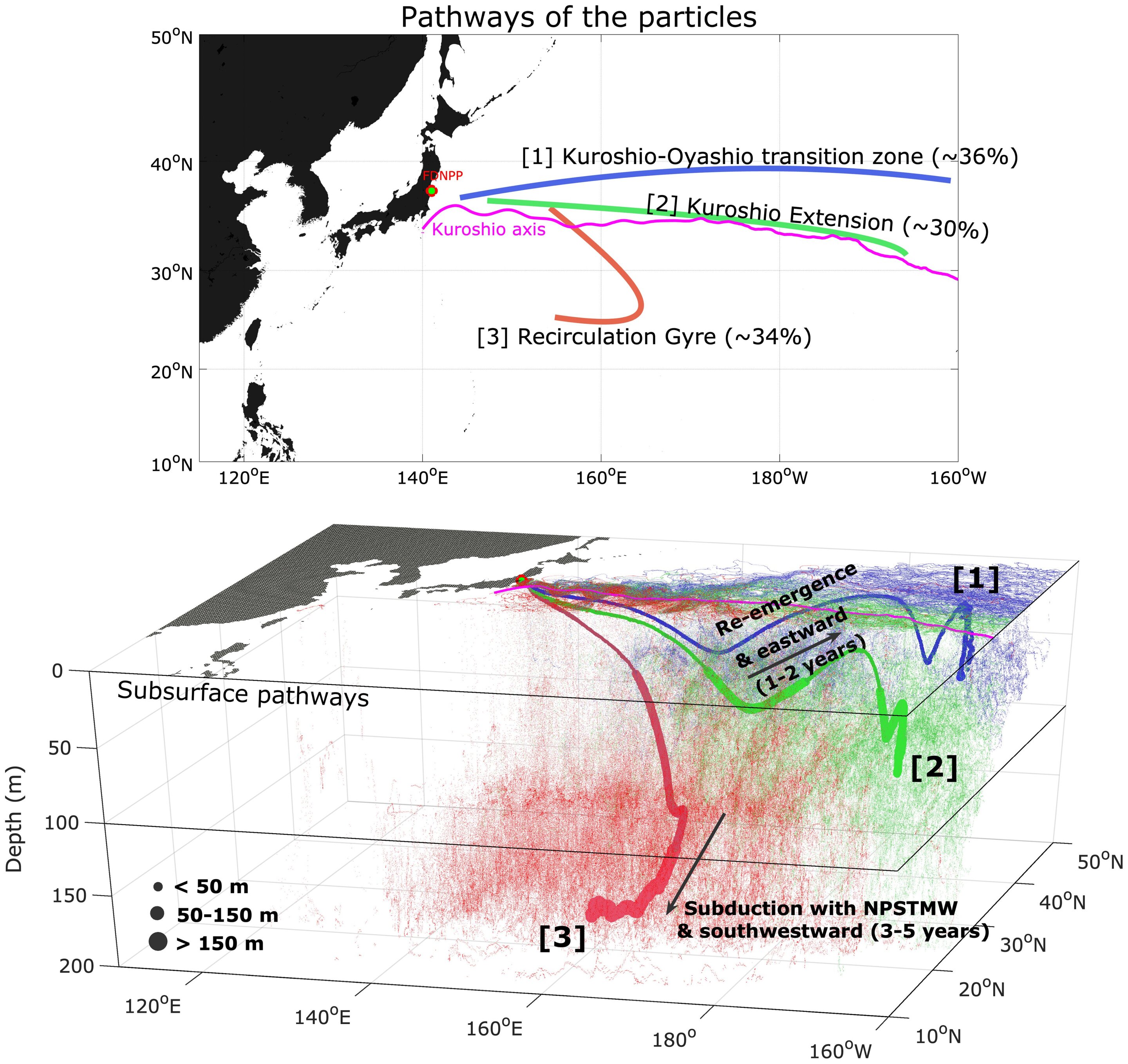 Fukushima fallout transport longevity revealed by North Pacific ocean circulation patterns