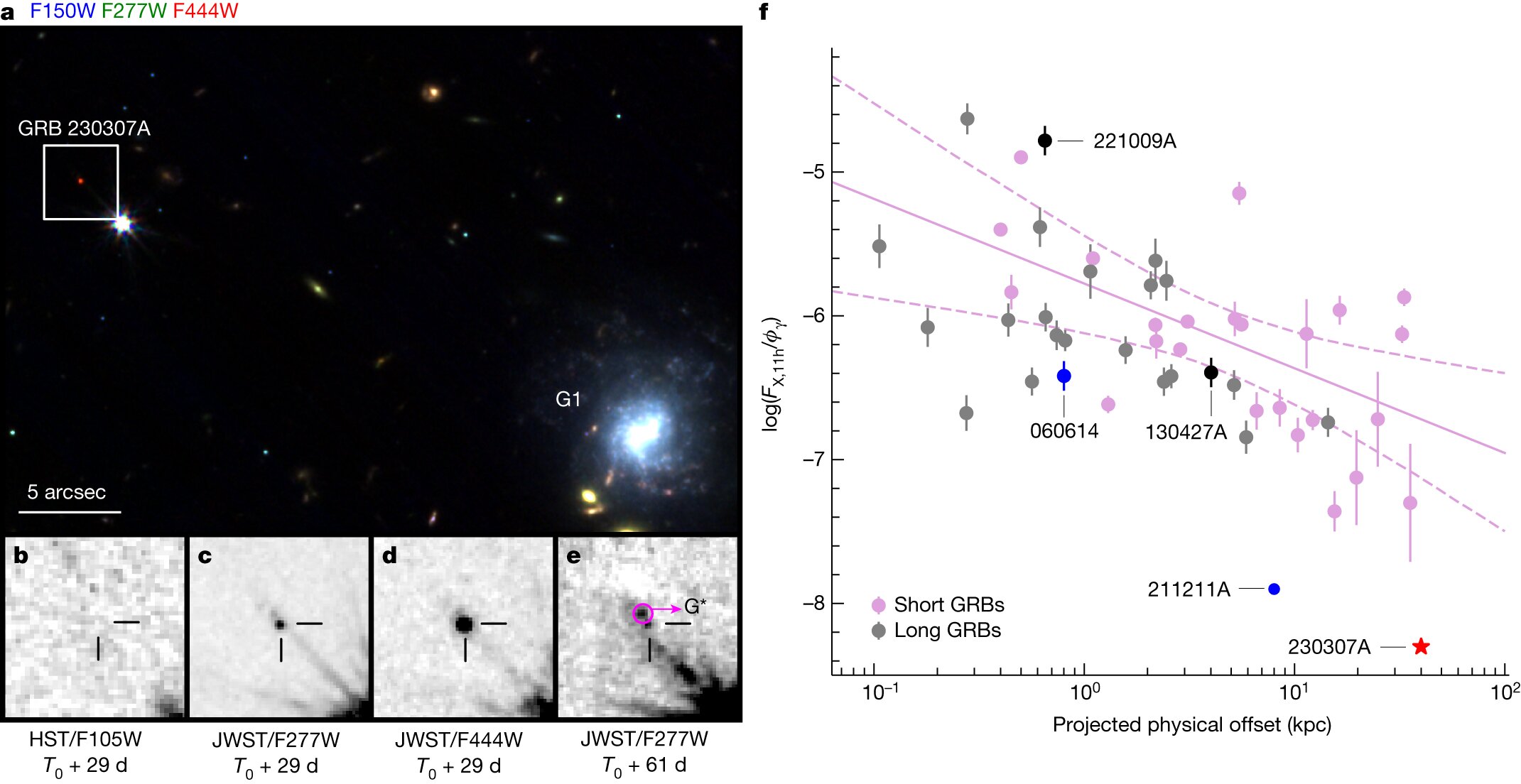 Further study of bright gamma-ray burst GRB 230307A shows it was caused by neutron stars merging