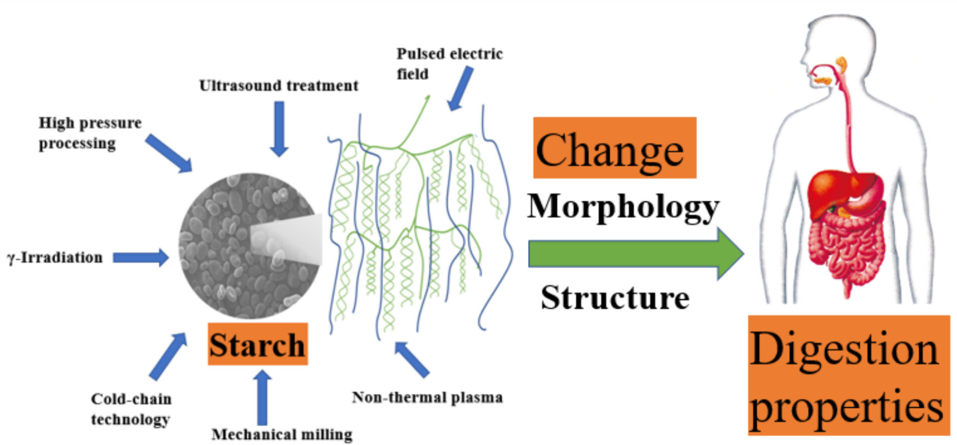 How non-thermal tech could transform starch consumption