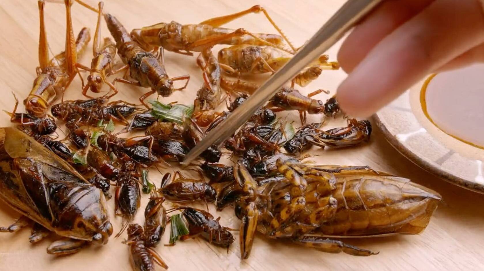 Q&A: Good grub—why you should consider eating bugs