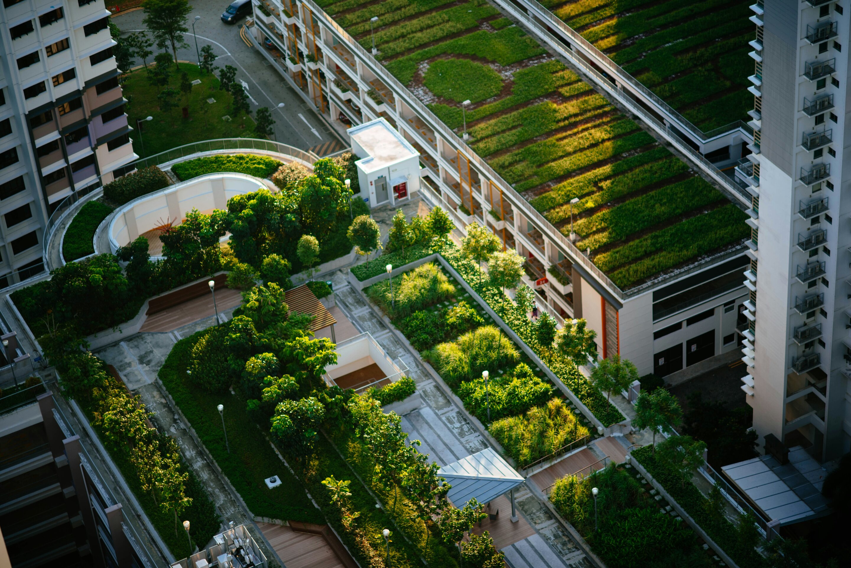 #Modeling shows green roofs can cool cities and save energy