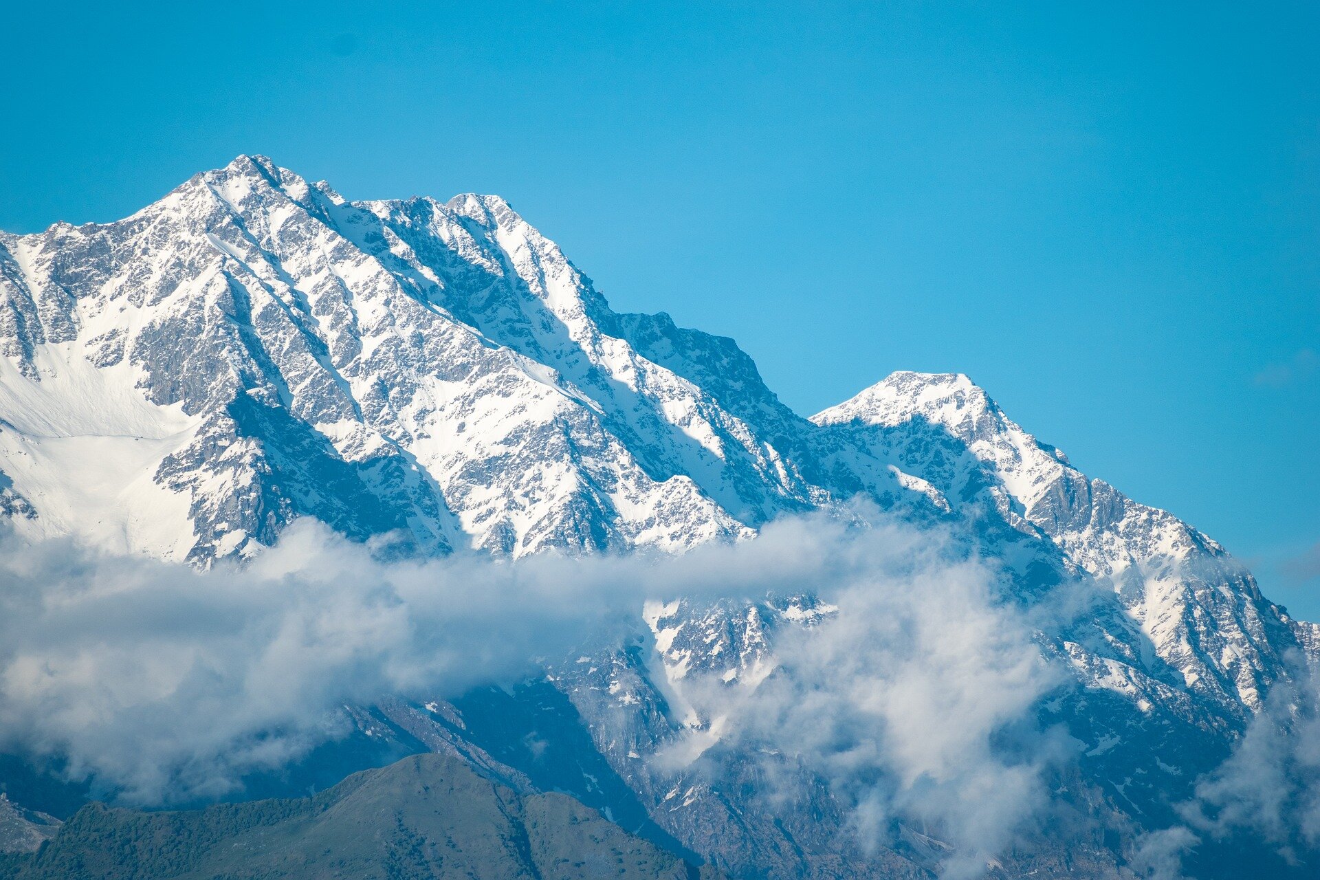 photo of The high and mighty Himalayas: A biodiversity hotbed facing significant challenges image