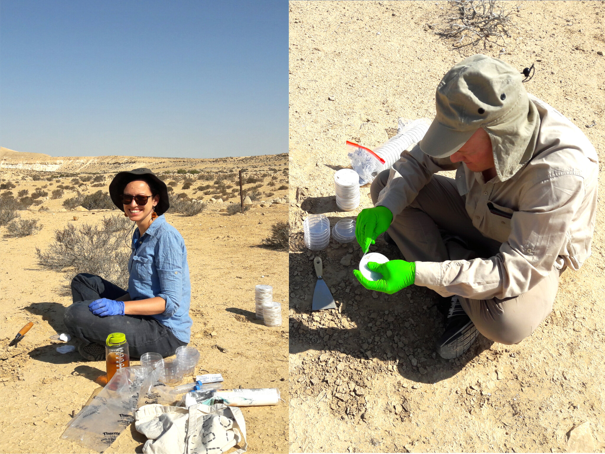 photo of Scientists discover how soil microbes survive in harsh desert environments image