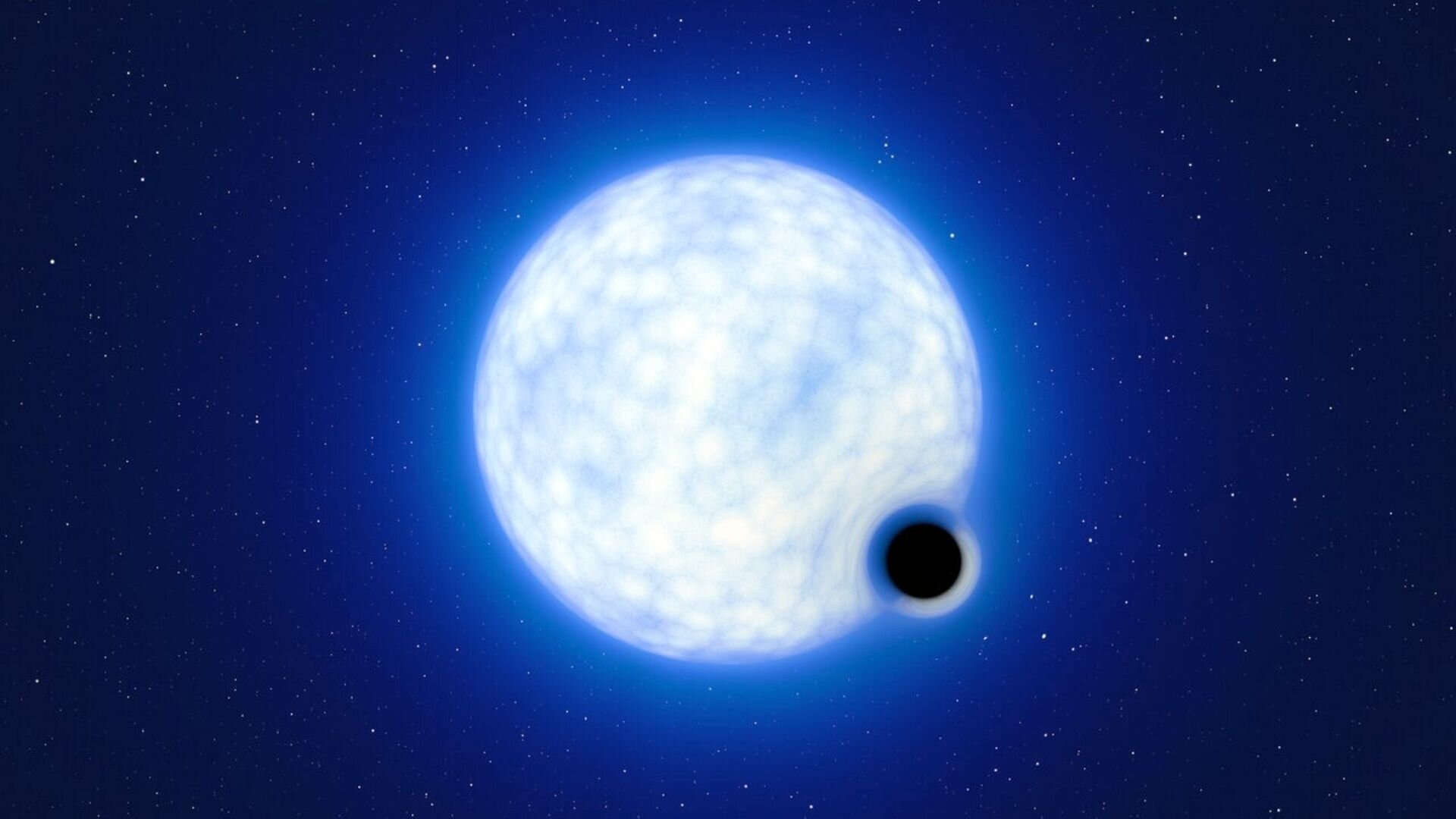 Understanding black hole formation through natal kicks and neutrino emission