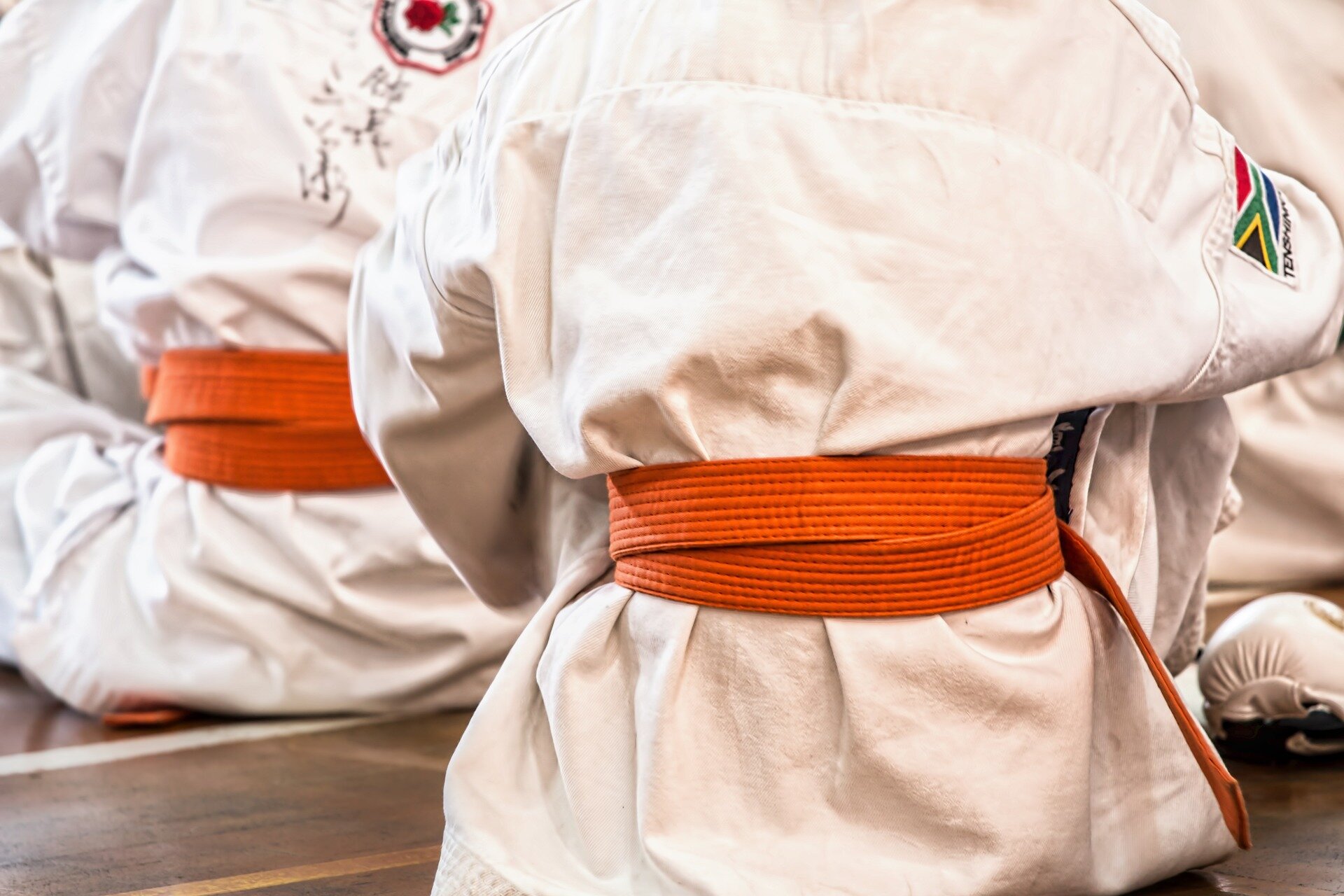 All the right moves in martial arts: Researchers develop system to quickly identify errors and improve form