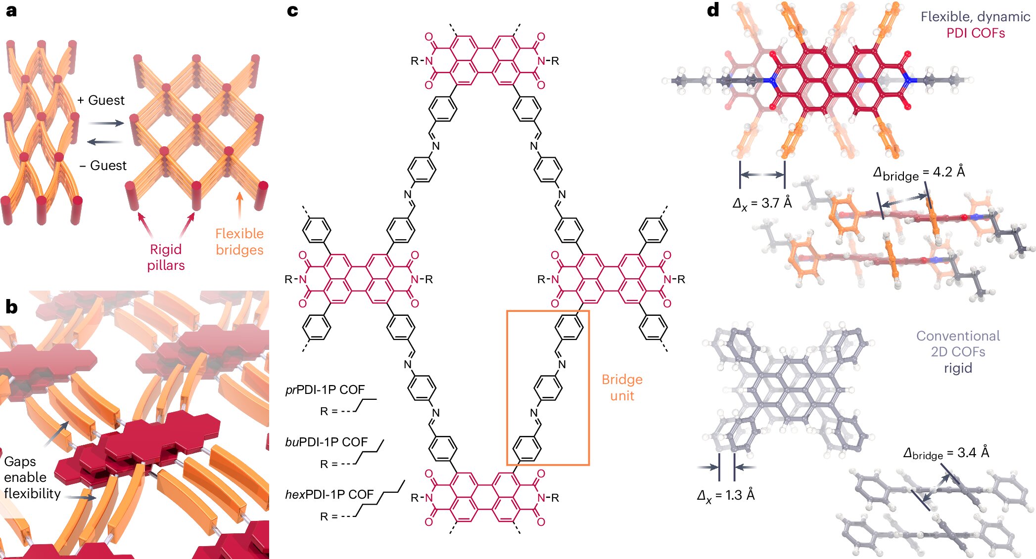 New 2D polymer brings scientists a step closer to realizing switchable quantum states