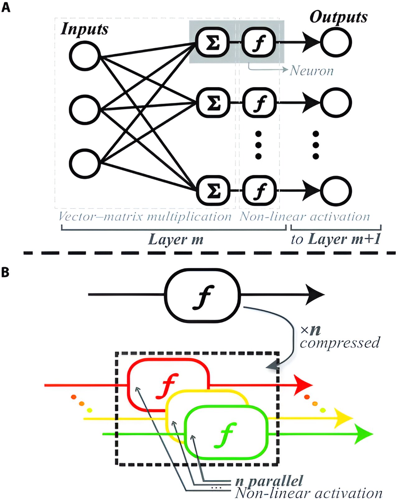 Multiplexed neuron sets make smaller optical neural networks possible