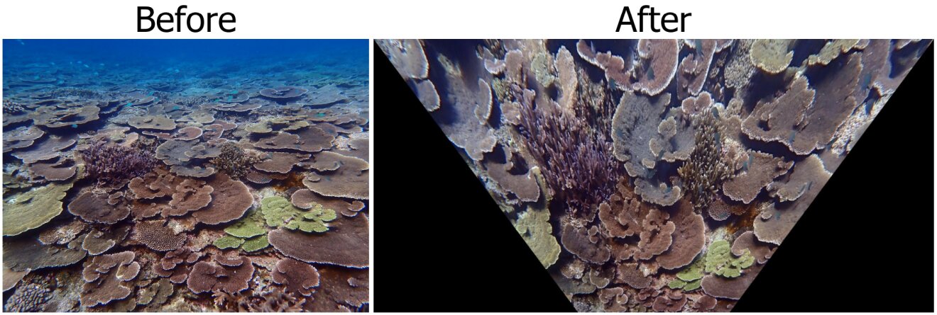 photo of New algorithm solves century-old problem for coral reef scientists image