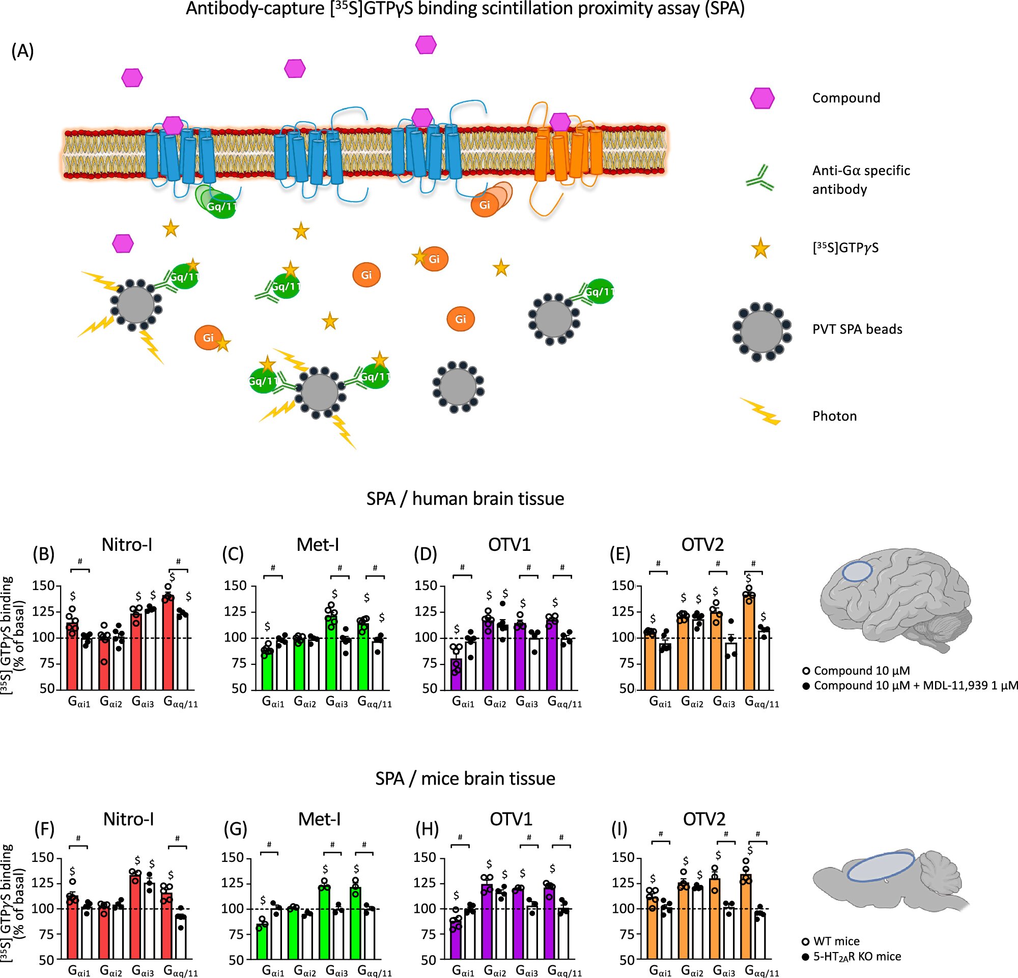 New avenues to developing personalized treatments for schizophrenia