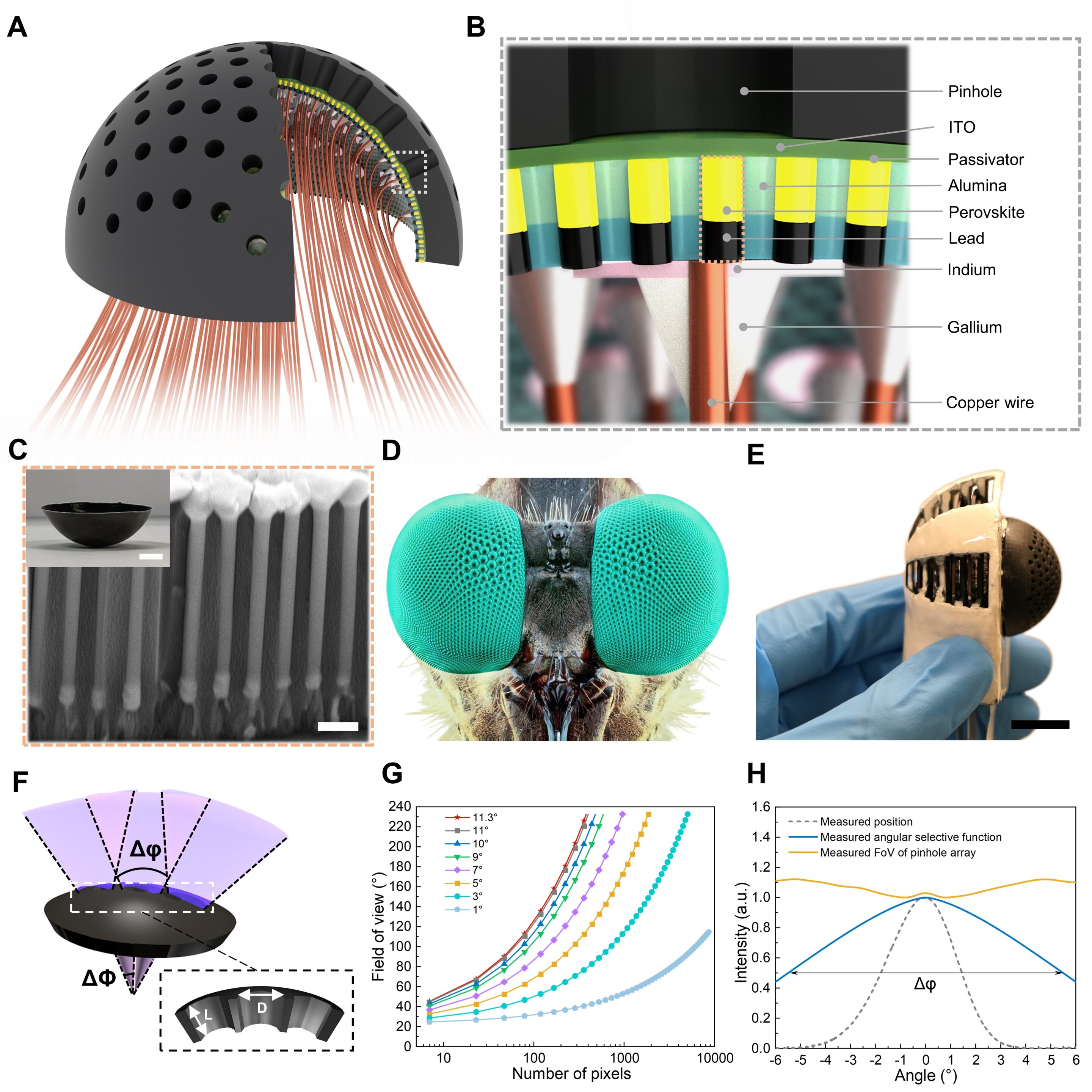 New compound eye design could provide inexpensive way to give robots ...