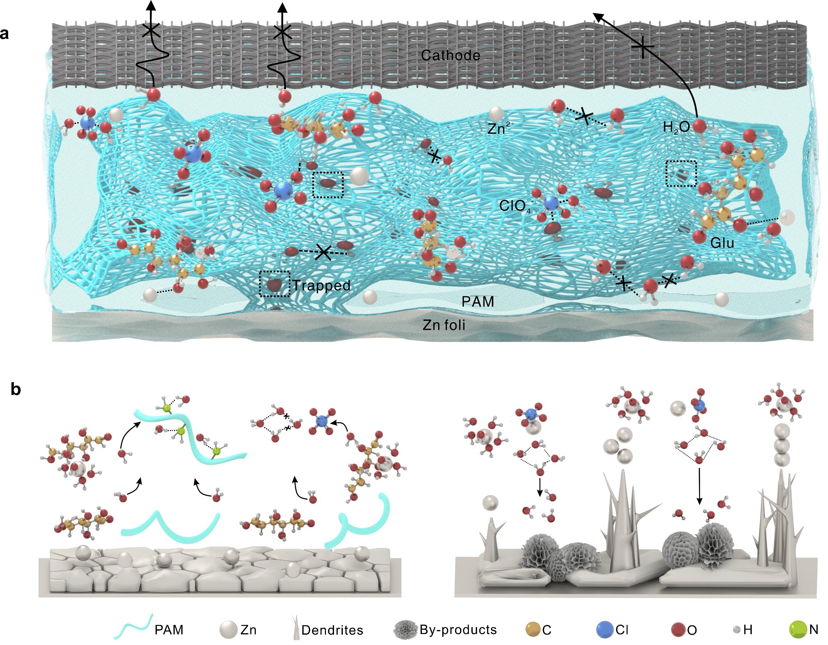 #Novel strategy proposed for all-climate zinc-ion batteries