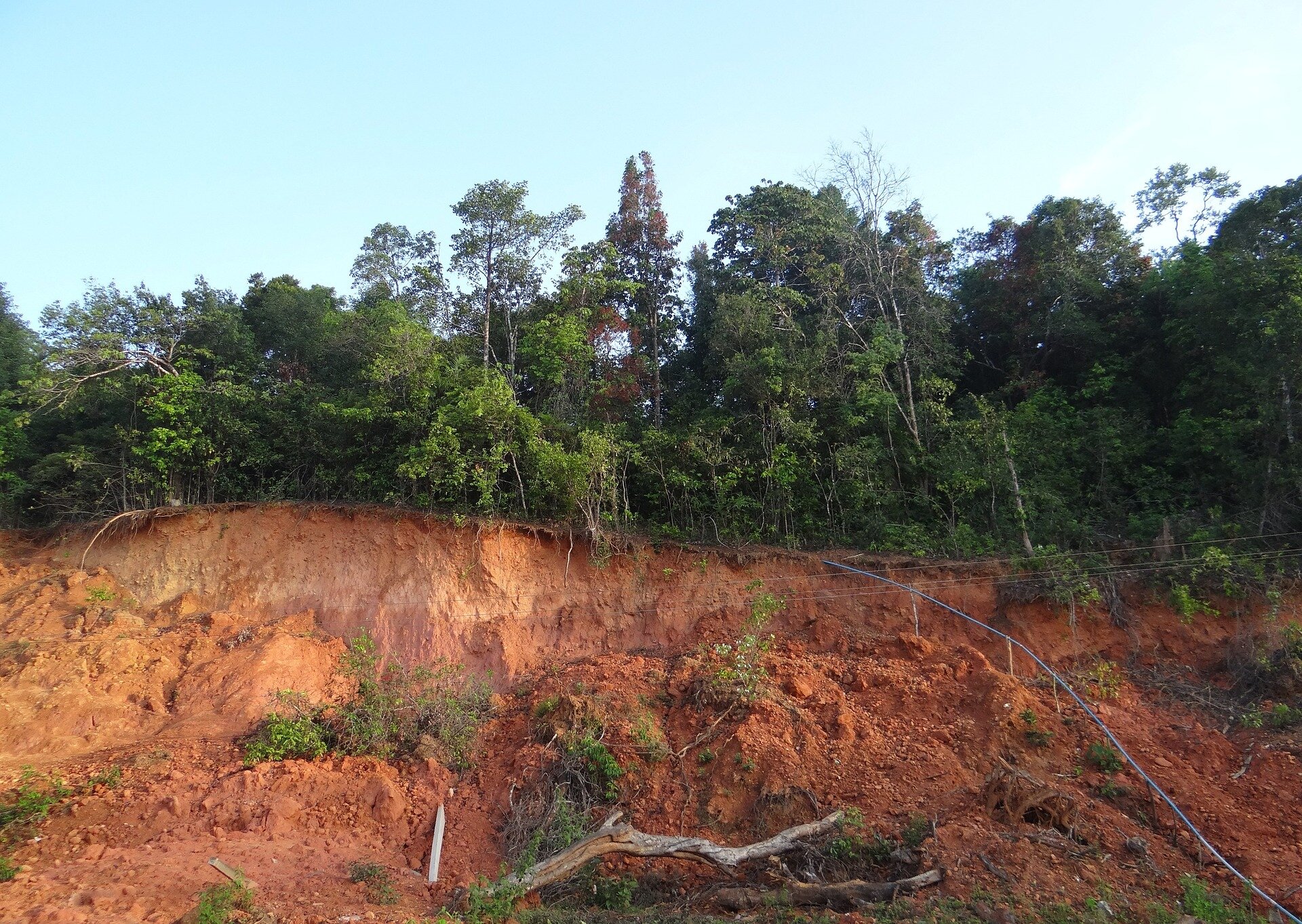 The study found that common minerals in red soil tend to lock up trace minerals over time