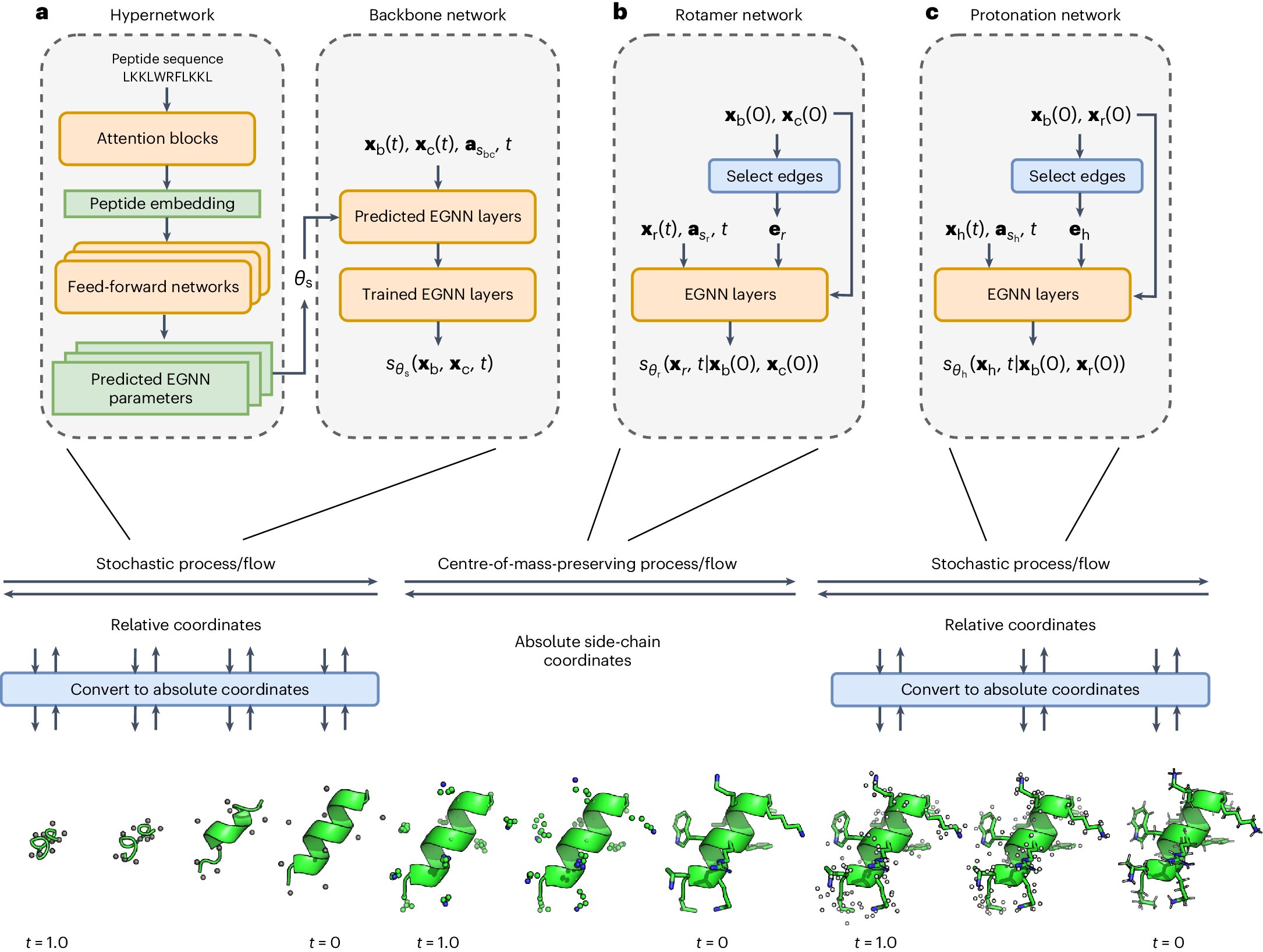 Researchers develop deep learning model that outperforms Google AI system in predicting peptide structures