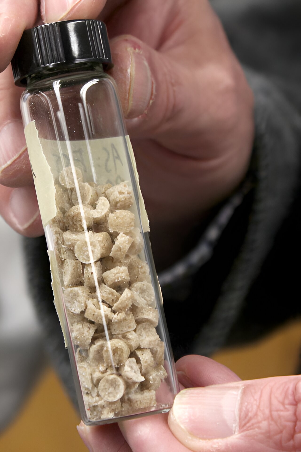 Researchers develop eggshell 'bioplastic' pellet as sustainable alternative to plastic