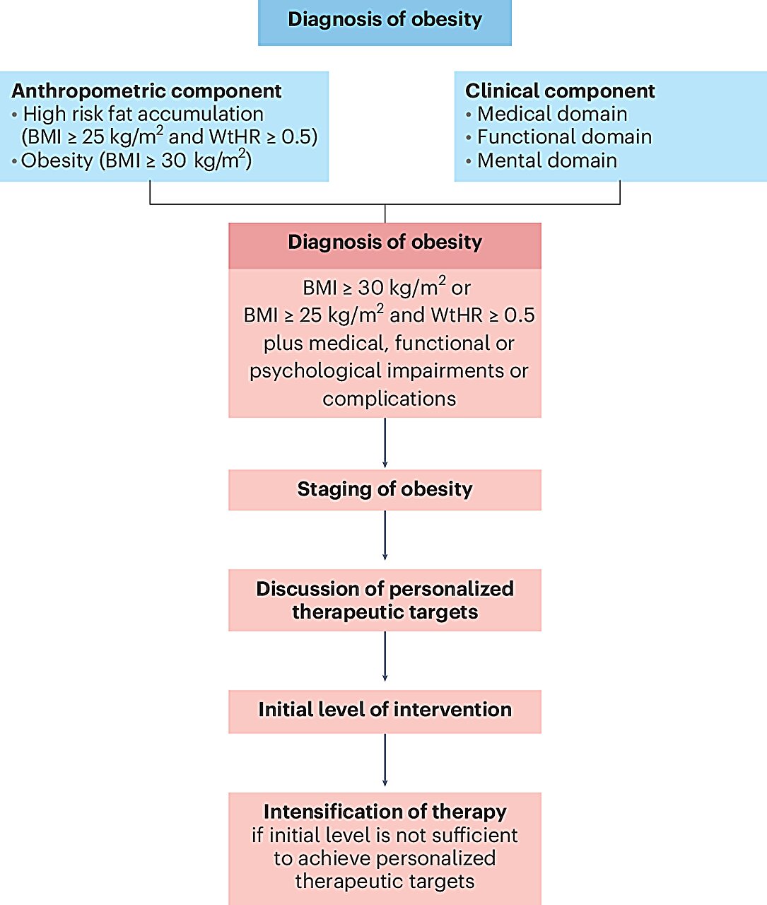 Researchers propose new framework for diagnosing obesity based on body fat distribution, not BMI