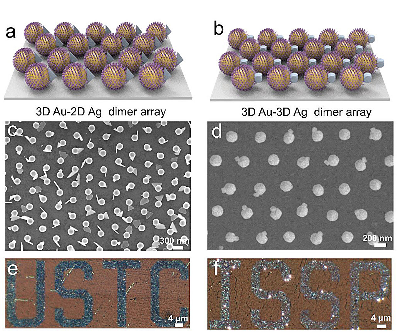 Researchers realize controlled synthesis of Au-Ag heterodimer arrays ...