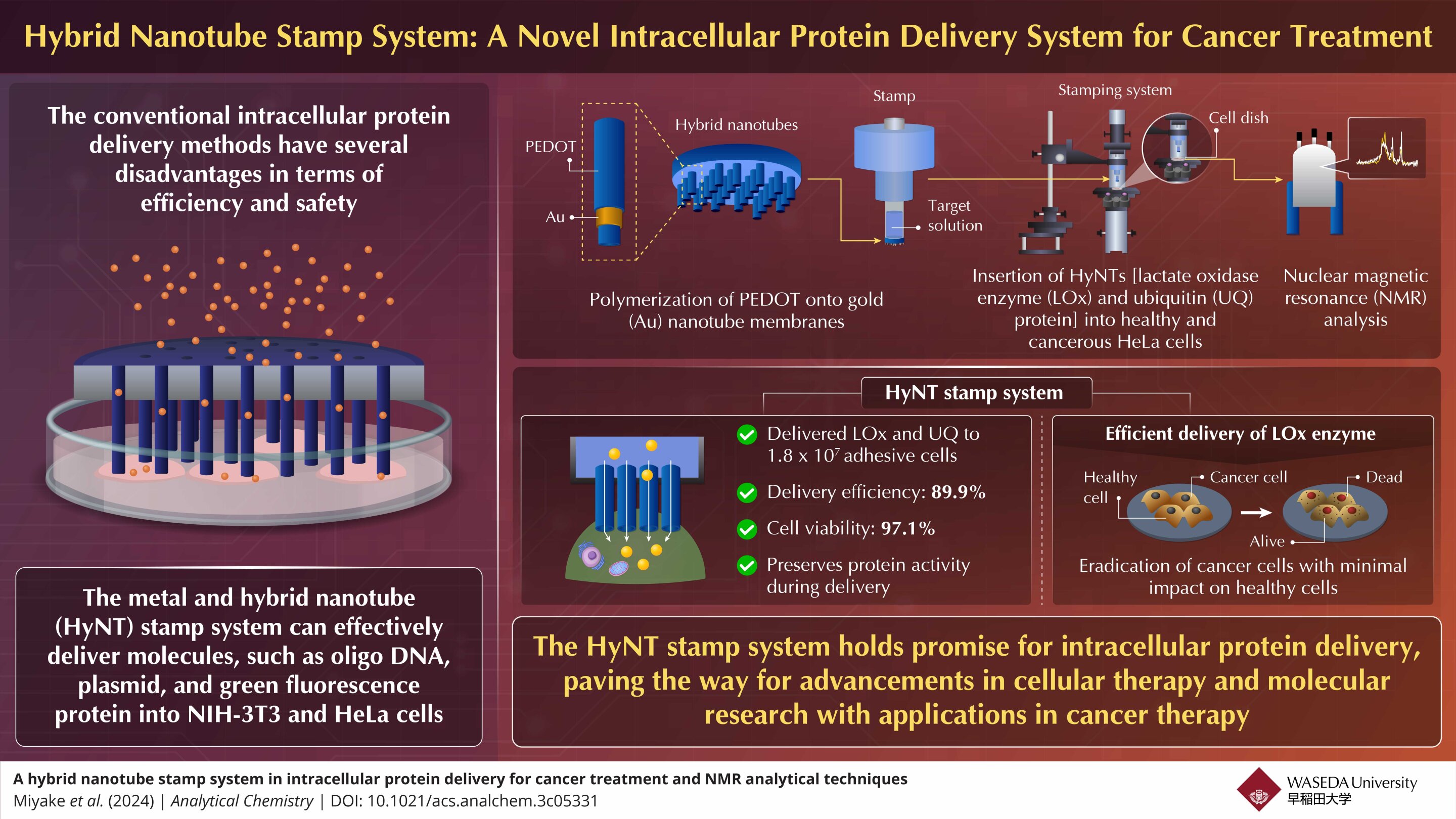 Using hybrid nanotubes to enhance cancer treatment with intracellular protein delivery