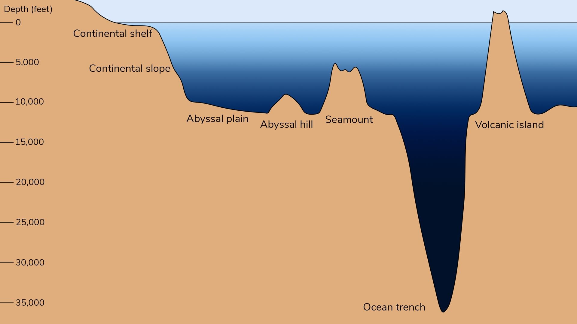 Hình dạng và độ sâu của đáy đại dương ảnh hưởng sâu sắc đến cách lưu trữ carbon ở đó
