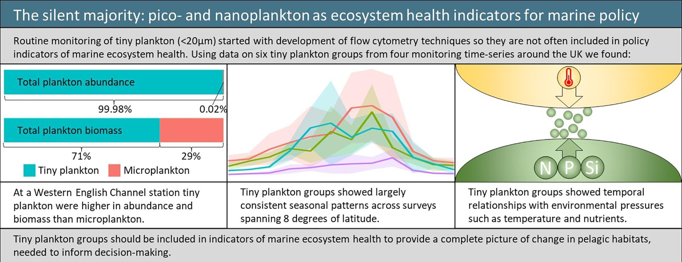 Exploring plankton's role in marine food webs