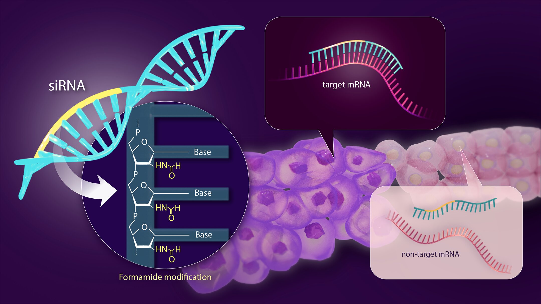 Solving the side effect problem of siRNA drugs for genetic disease treatment