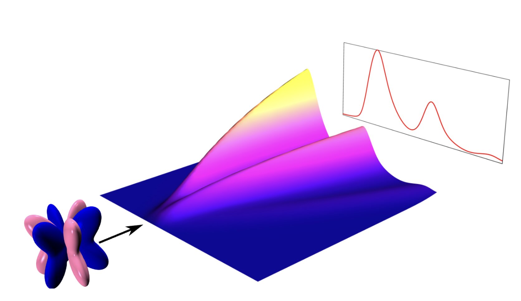 Study outlines spectroscopic signatures of fractionalization in octupolar quantum spin ice