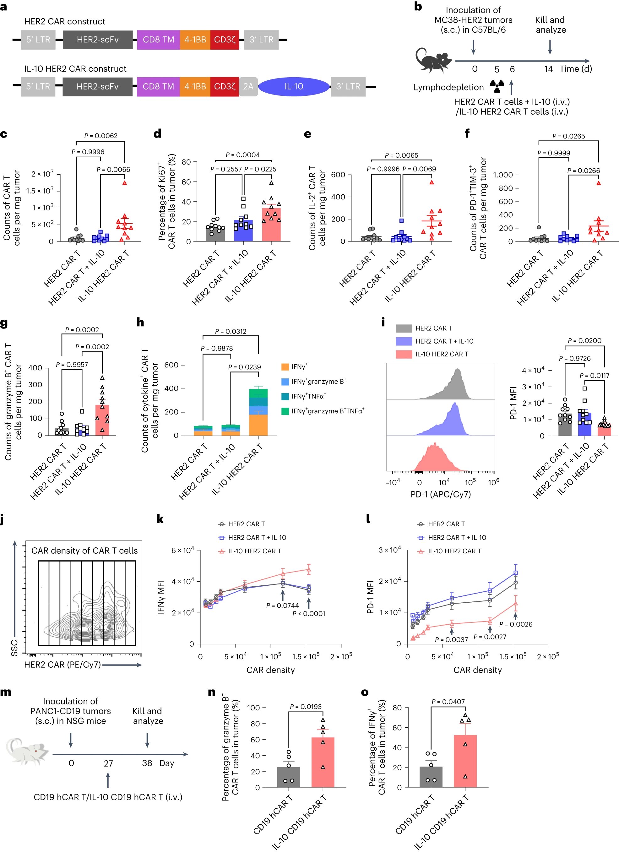 Engineered Bacteria Paint Targets on Tumors for Cancer-killing T Cells to  See